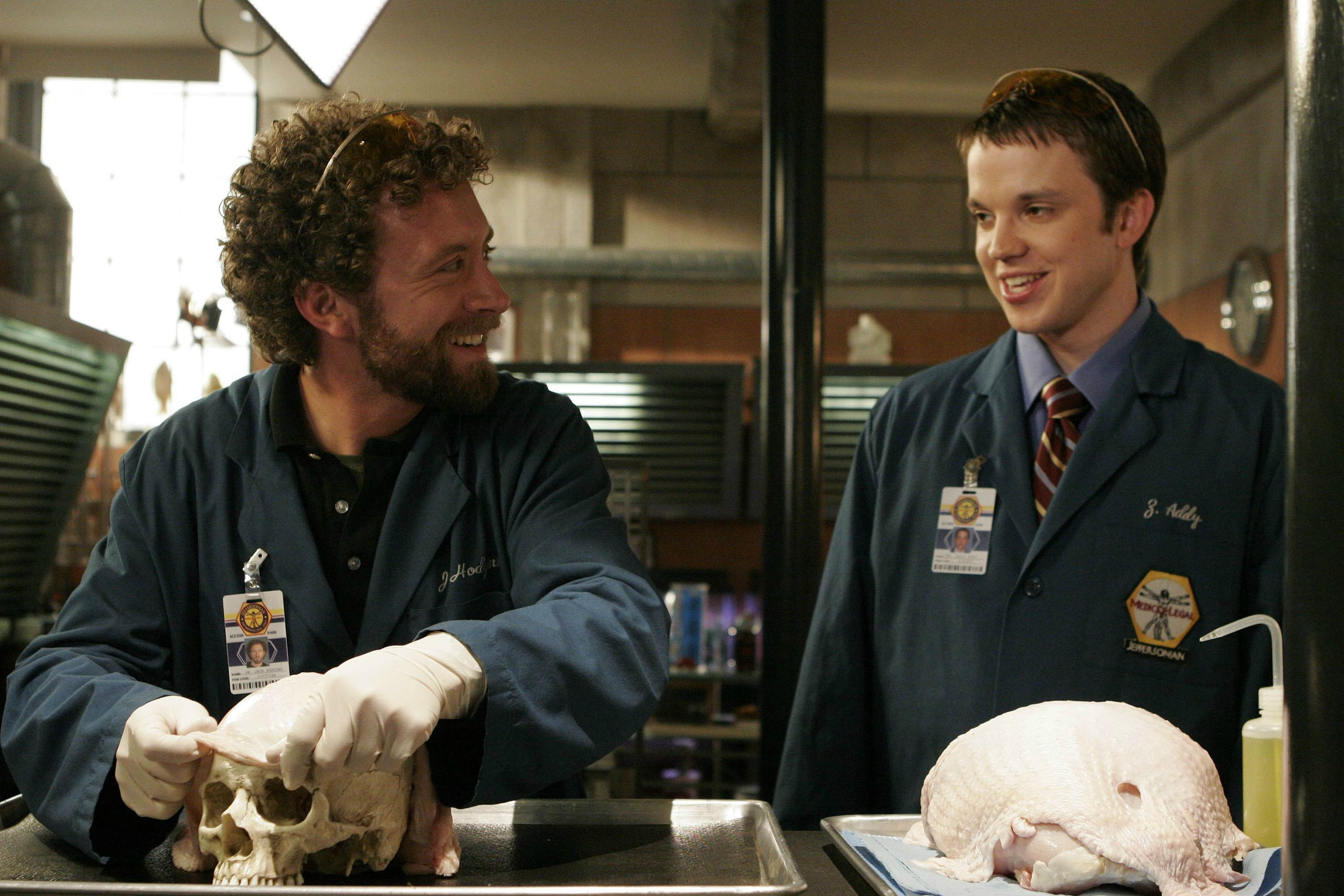 Two men in lab coats examining a skull and a turkey HD Wallpaper
