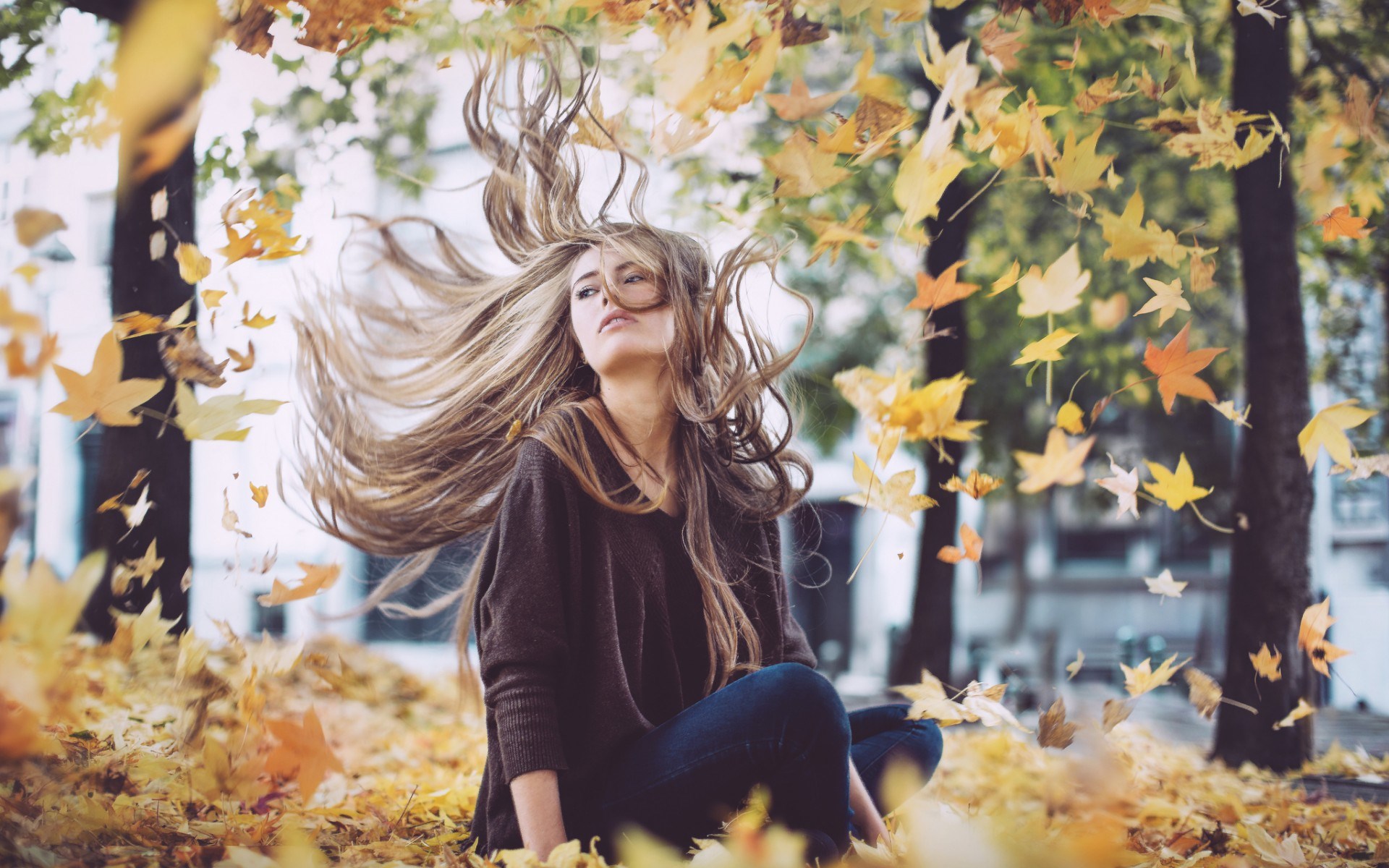 Woman sitting in autumn leaves with hair blowing HD Wallpaper