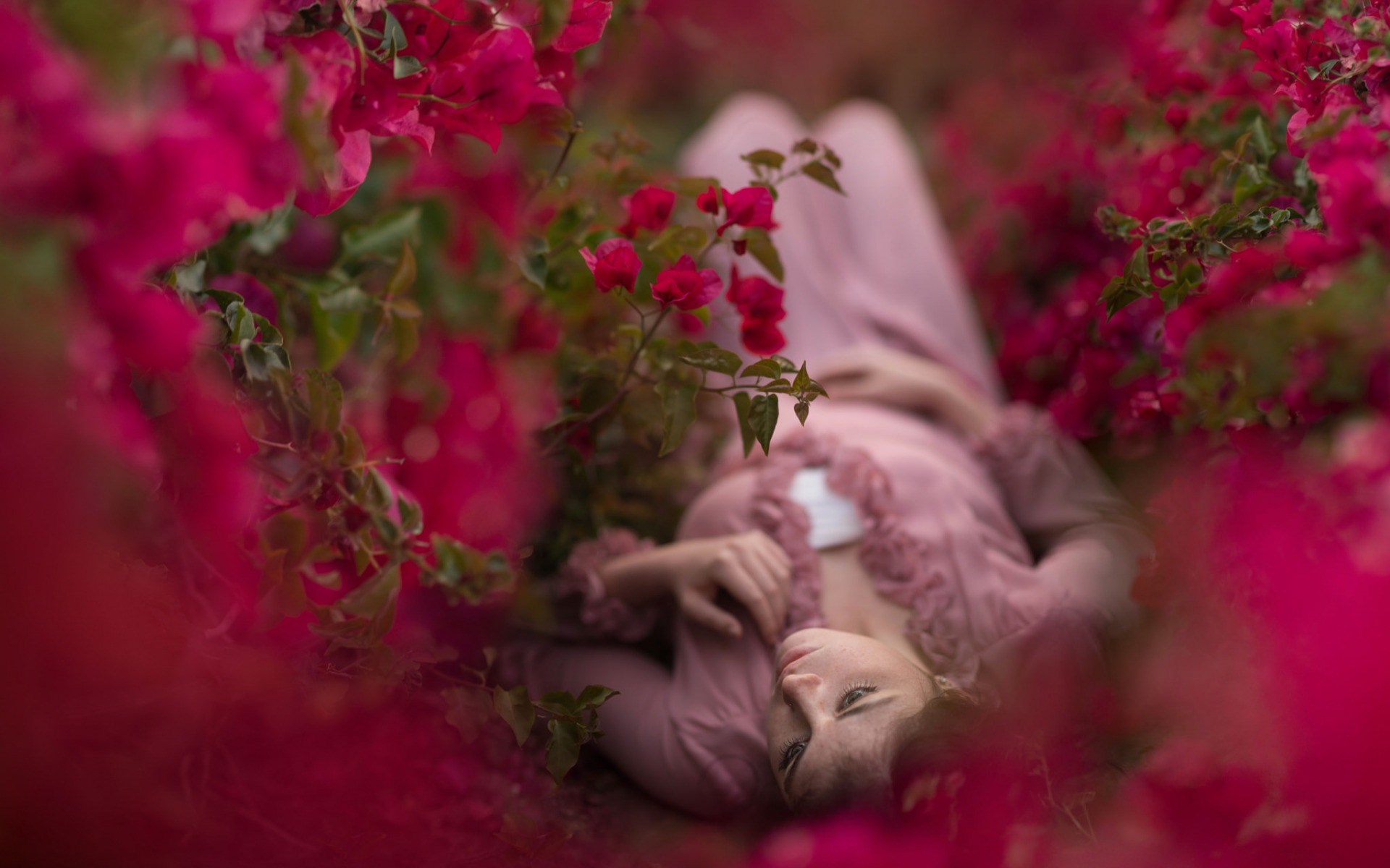 Woman lying in pink bougainvillea flowers HD Wallpaper