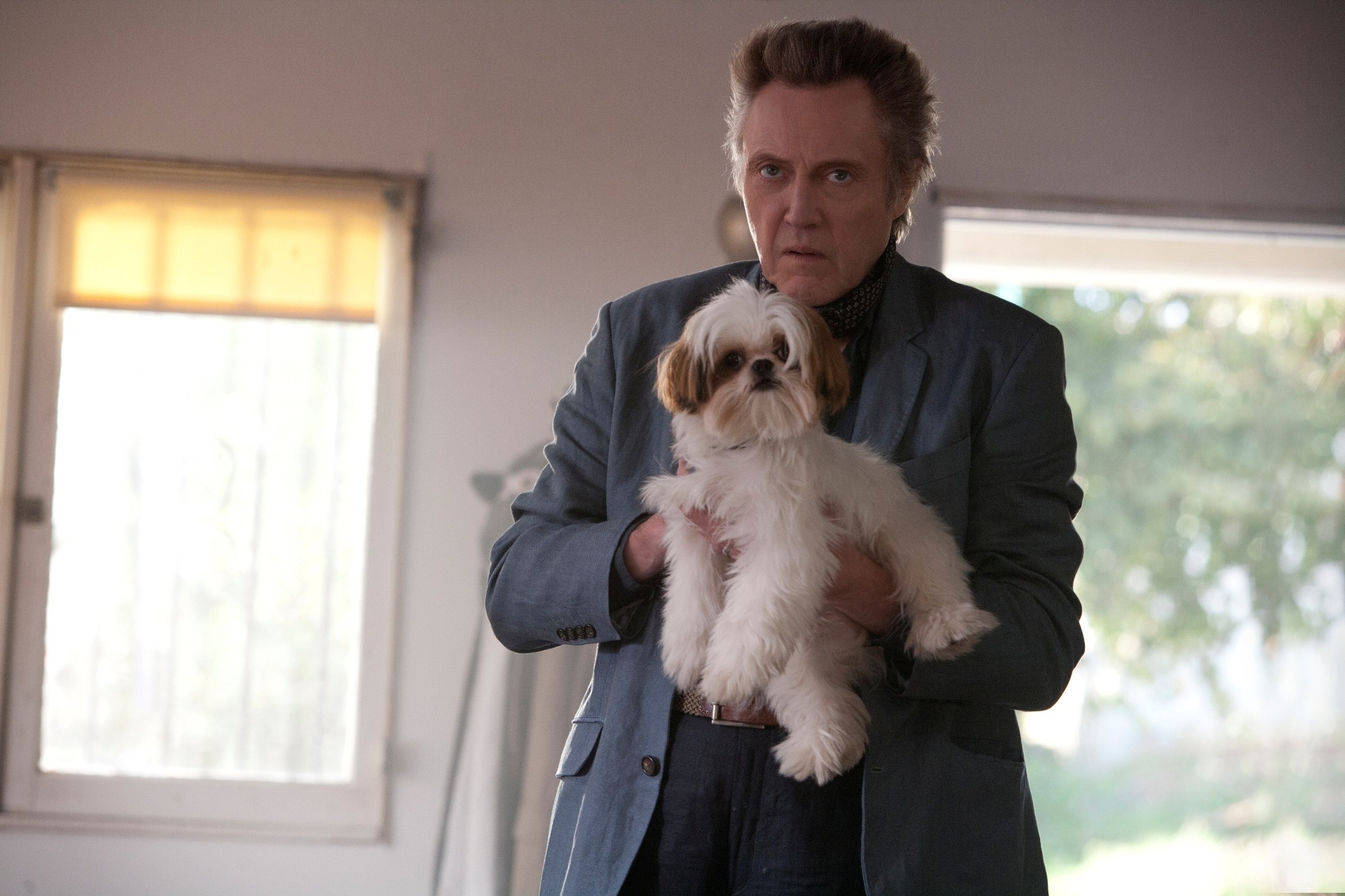 Christopher Walken holding a Shih Tzu dog HD Wallpaper