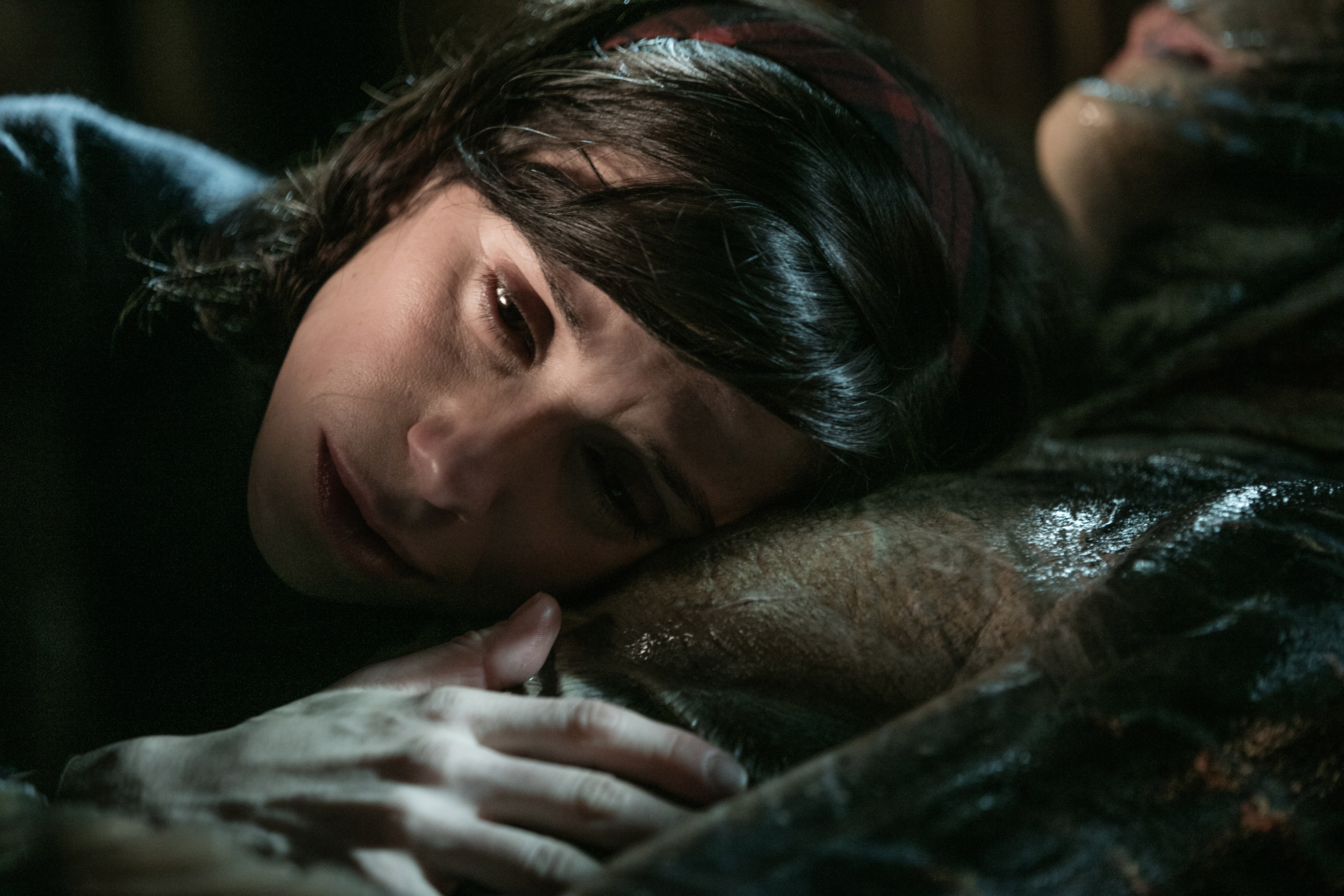 Sally Hawkins and Amphibian Man HD Wallpaper