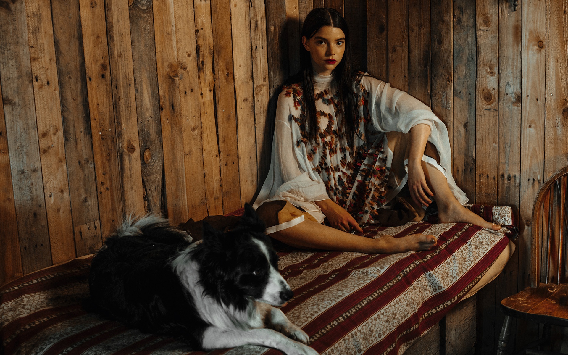 Anya Taylor-Joy with a dog HD Wallpaper