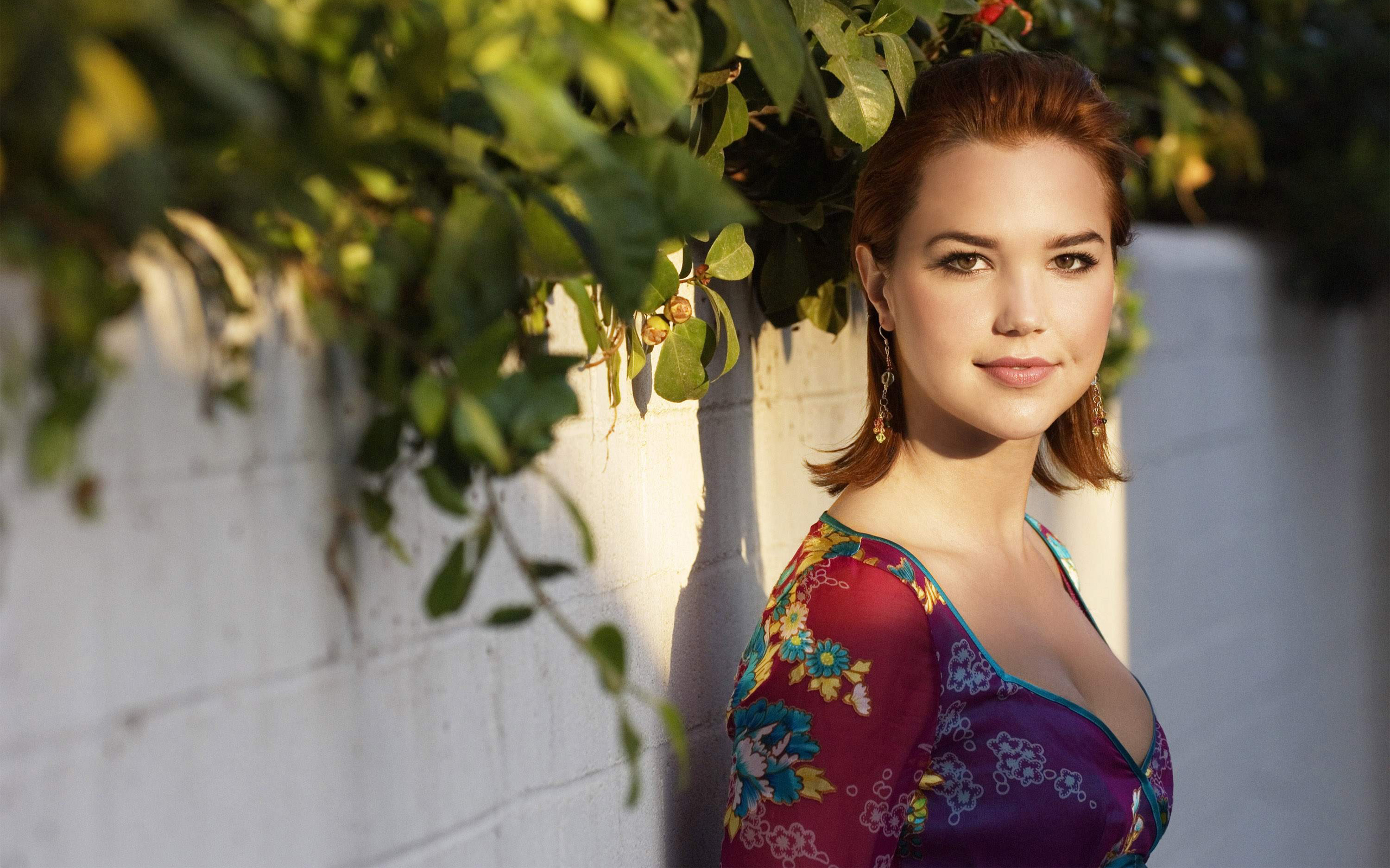 Arielle Kebbel HD Wallpaper