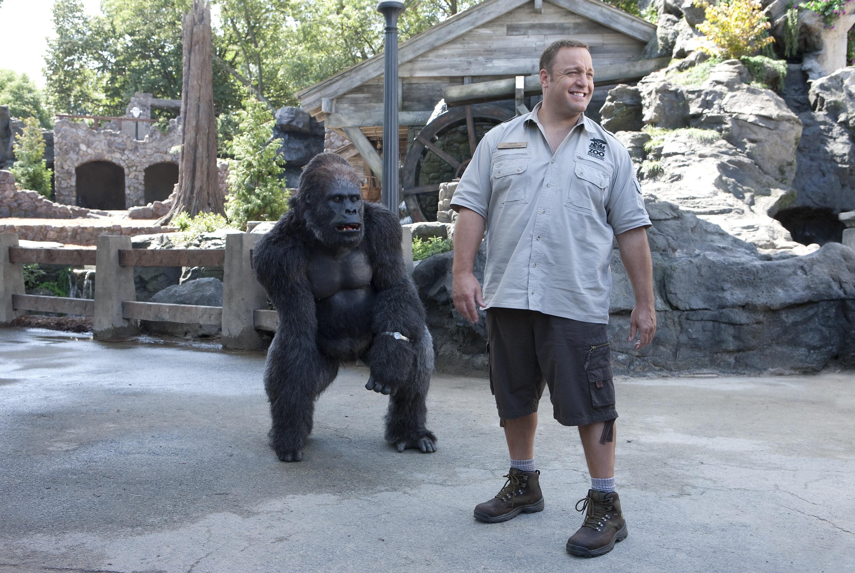 Kevin James with a gorilla at the zoo HD Wallpaper