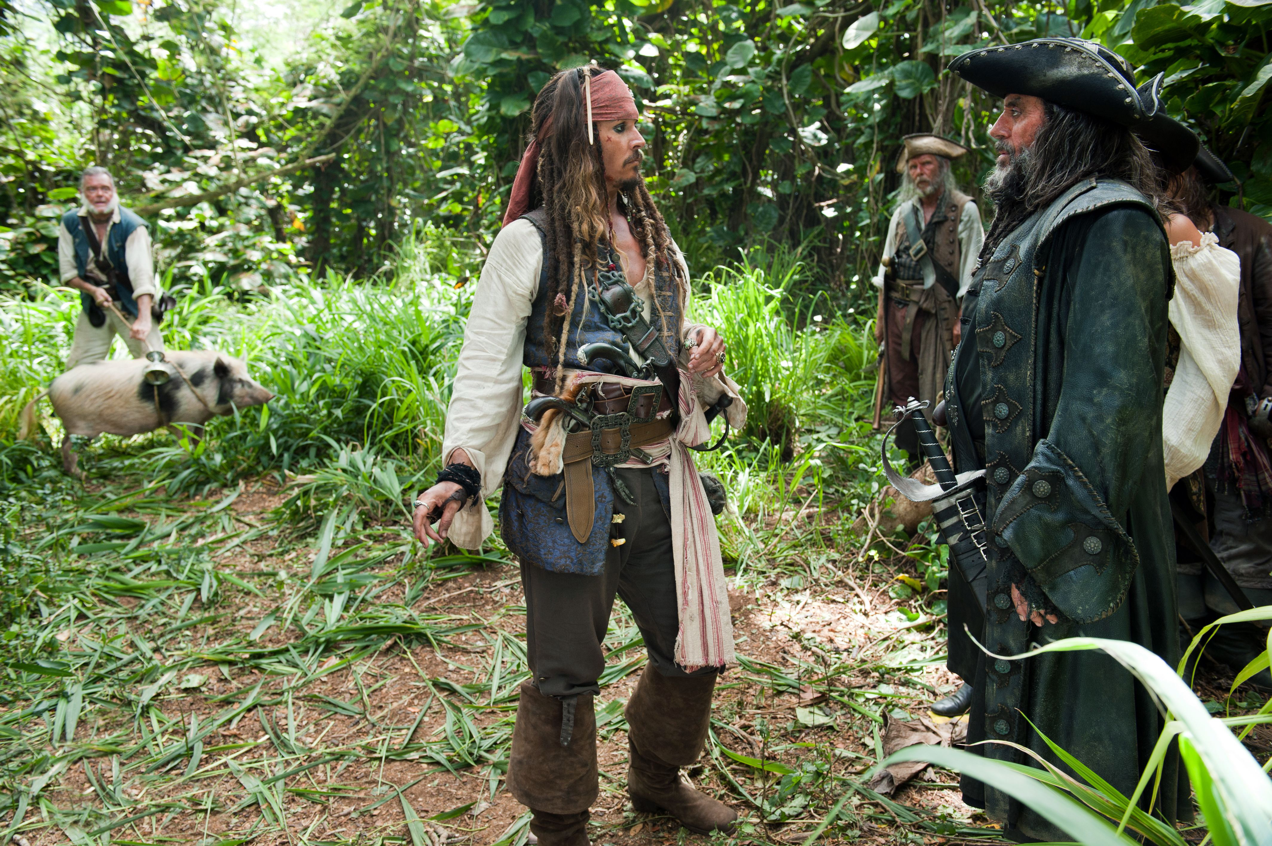 Captain Jack Sparrow and Blackbeard in a jungle with a pig HD Wallpaper