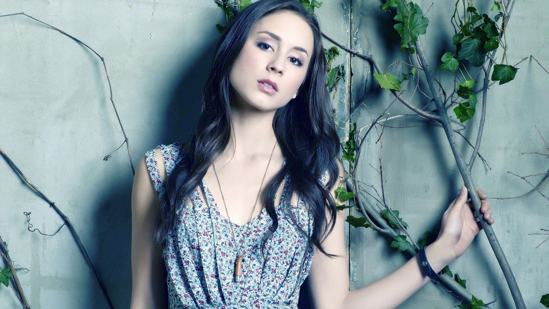 Troian Bellisario HD Wallpaper