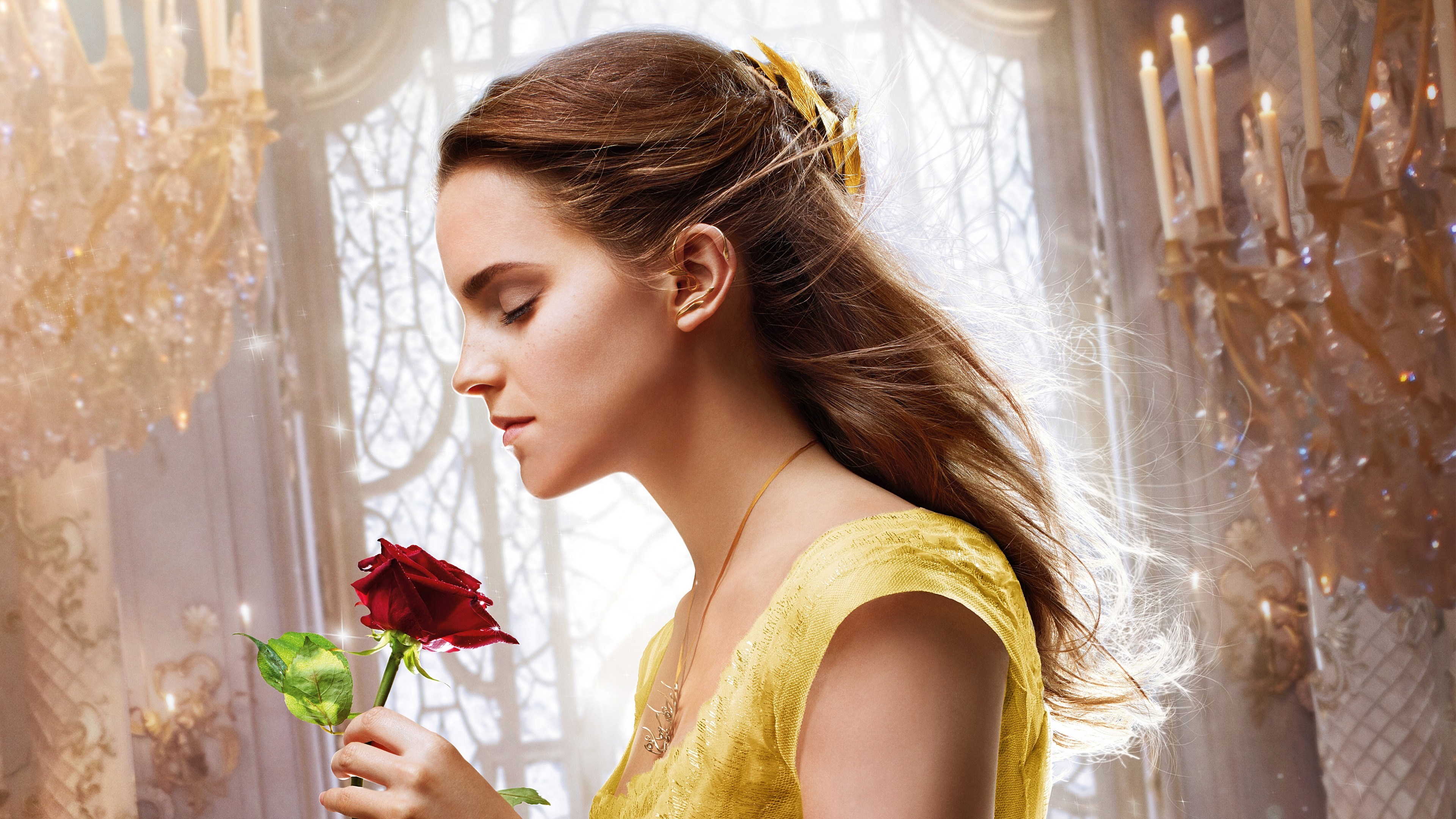 Belle from Beauty and the Beast holding a rose HD Wallpaper