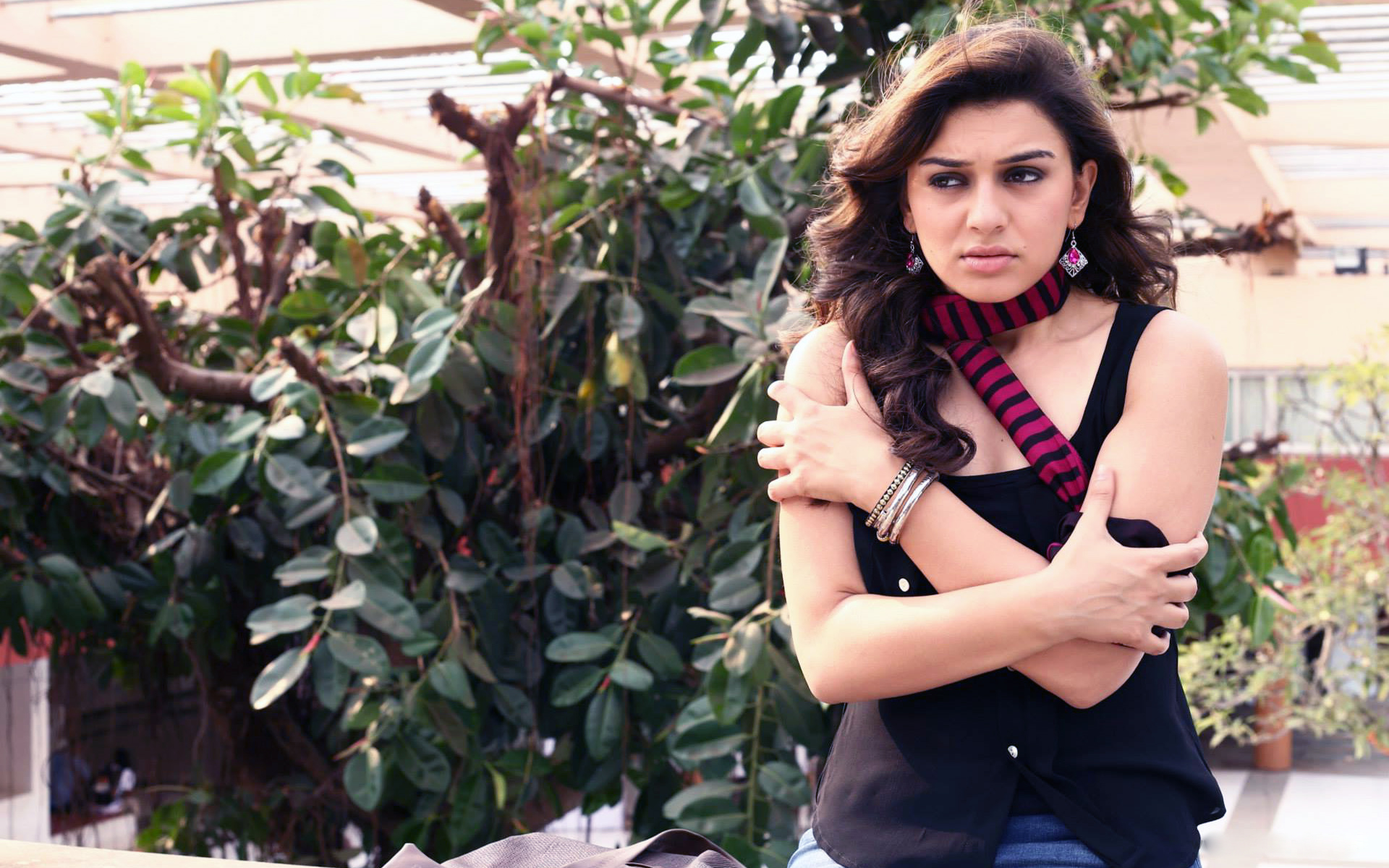 Hansika Motwani HD Wallpaper