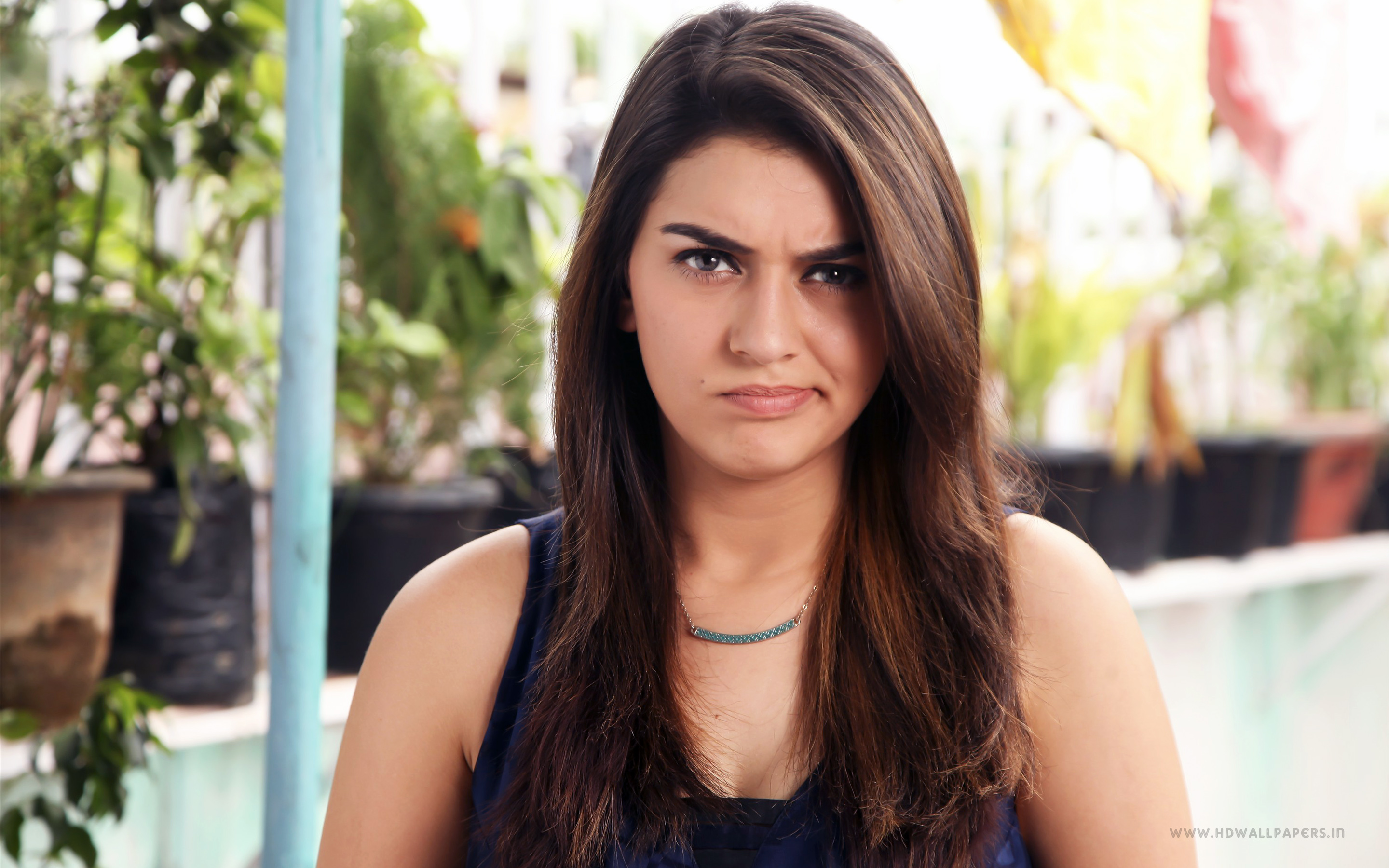 Hansika Motwani HD Wallpaper