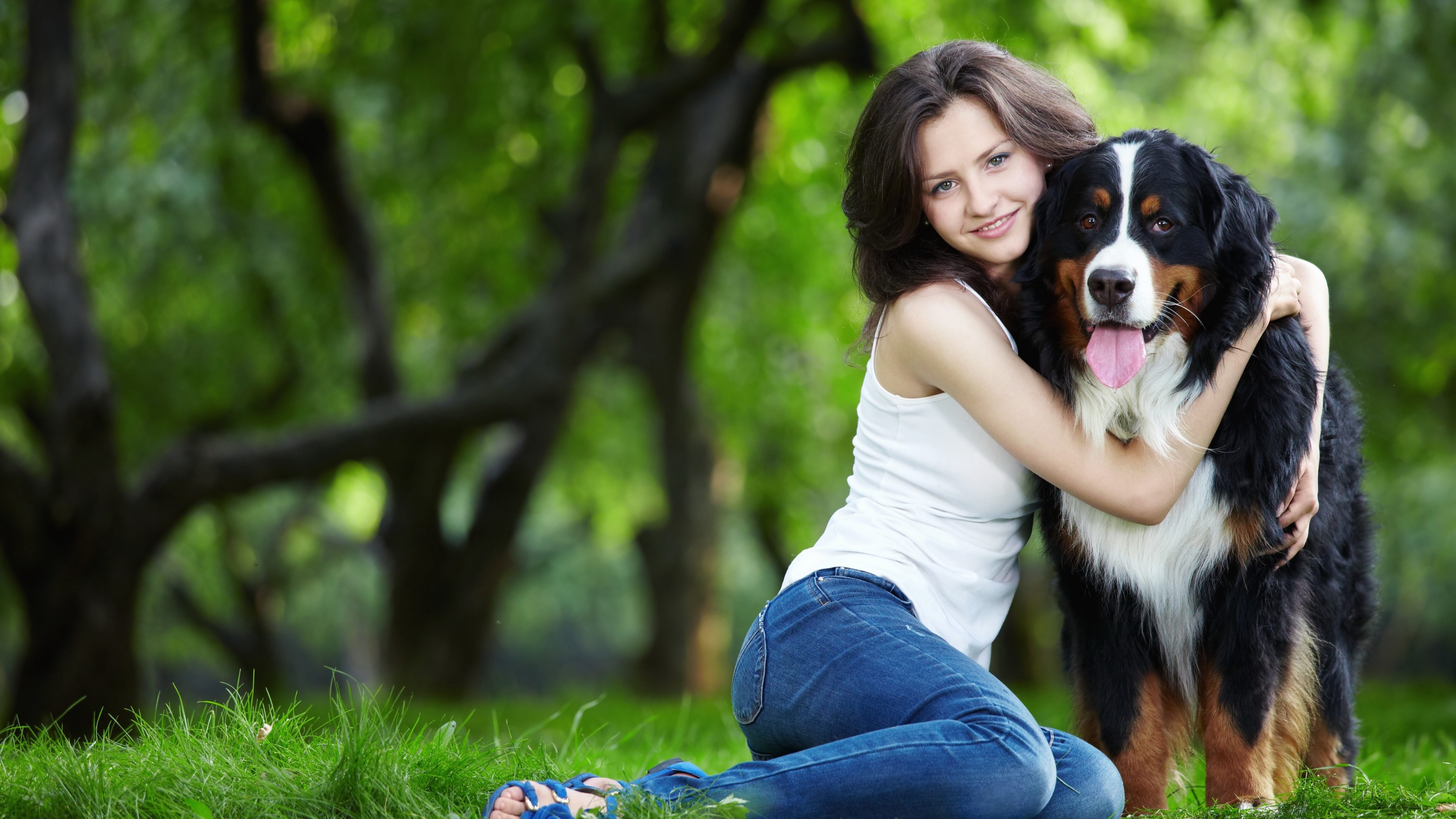 Woman hugging Bernese Mountain Dog in park HD Wallpaper