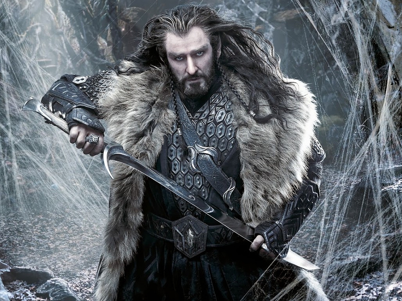 Thorin Oakenshield from The Hobbit HD Wallpaper