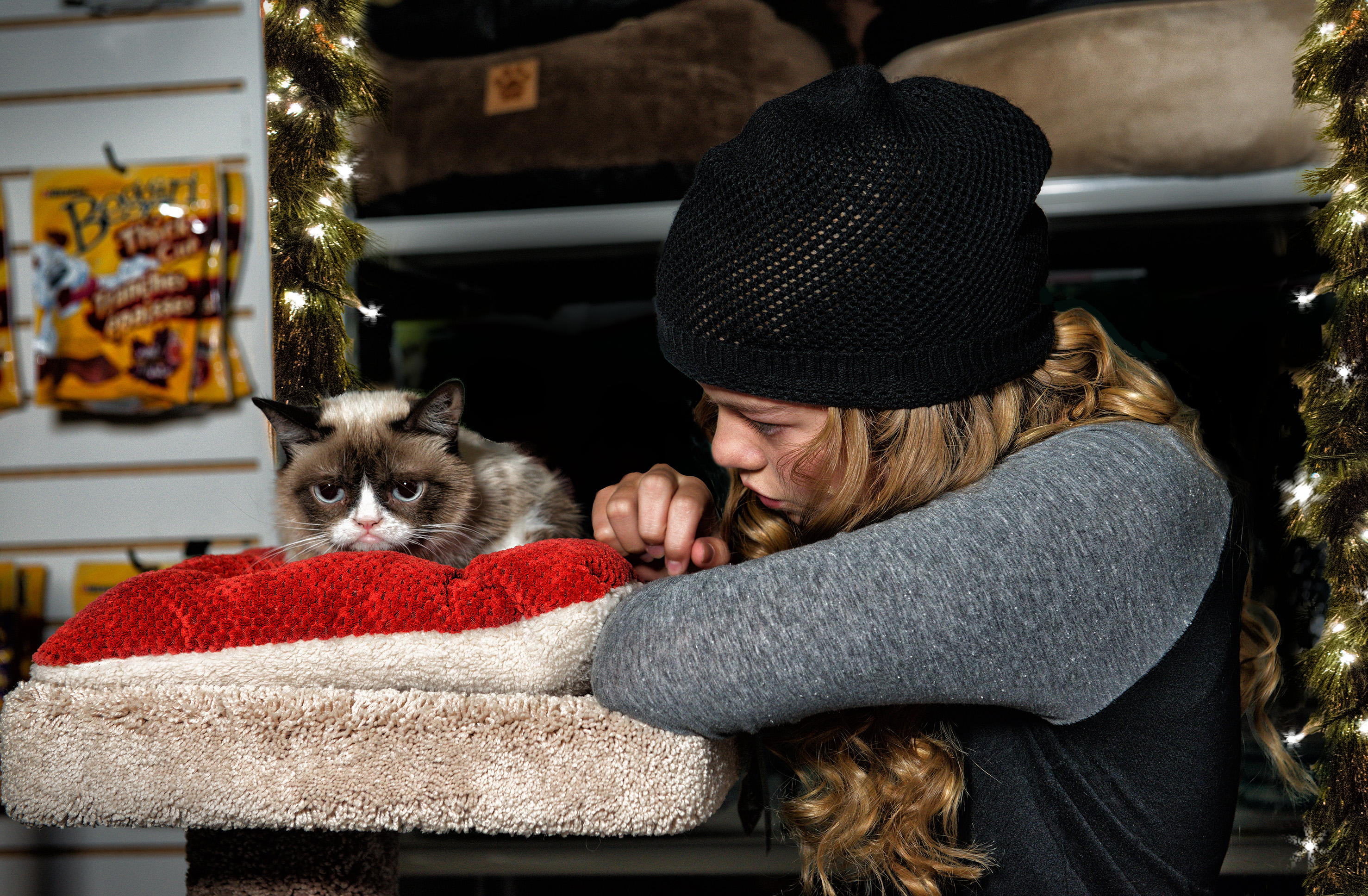 Grumpy Cat on a pet bed with a girl HD Wallpaper