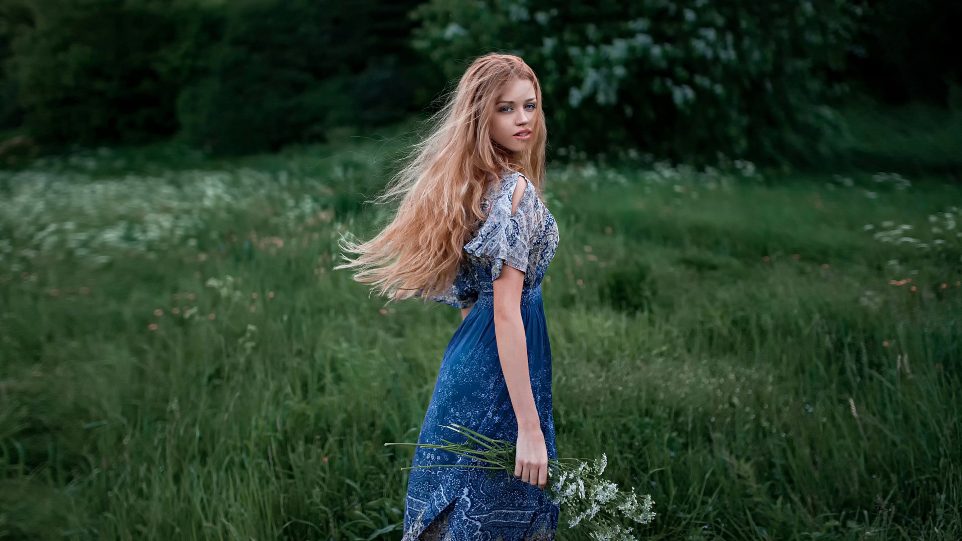 Woman in a blue dress holding flowers in a field HD Wallpaper