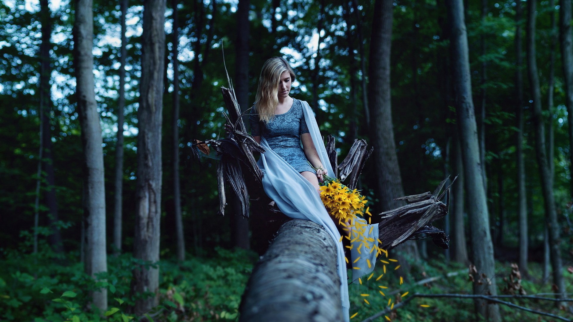 Woman sitting on a fallen tree in a forest HD Wallpaper