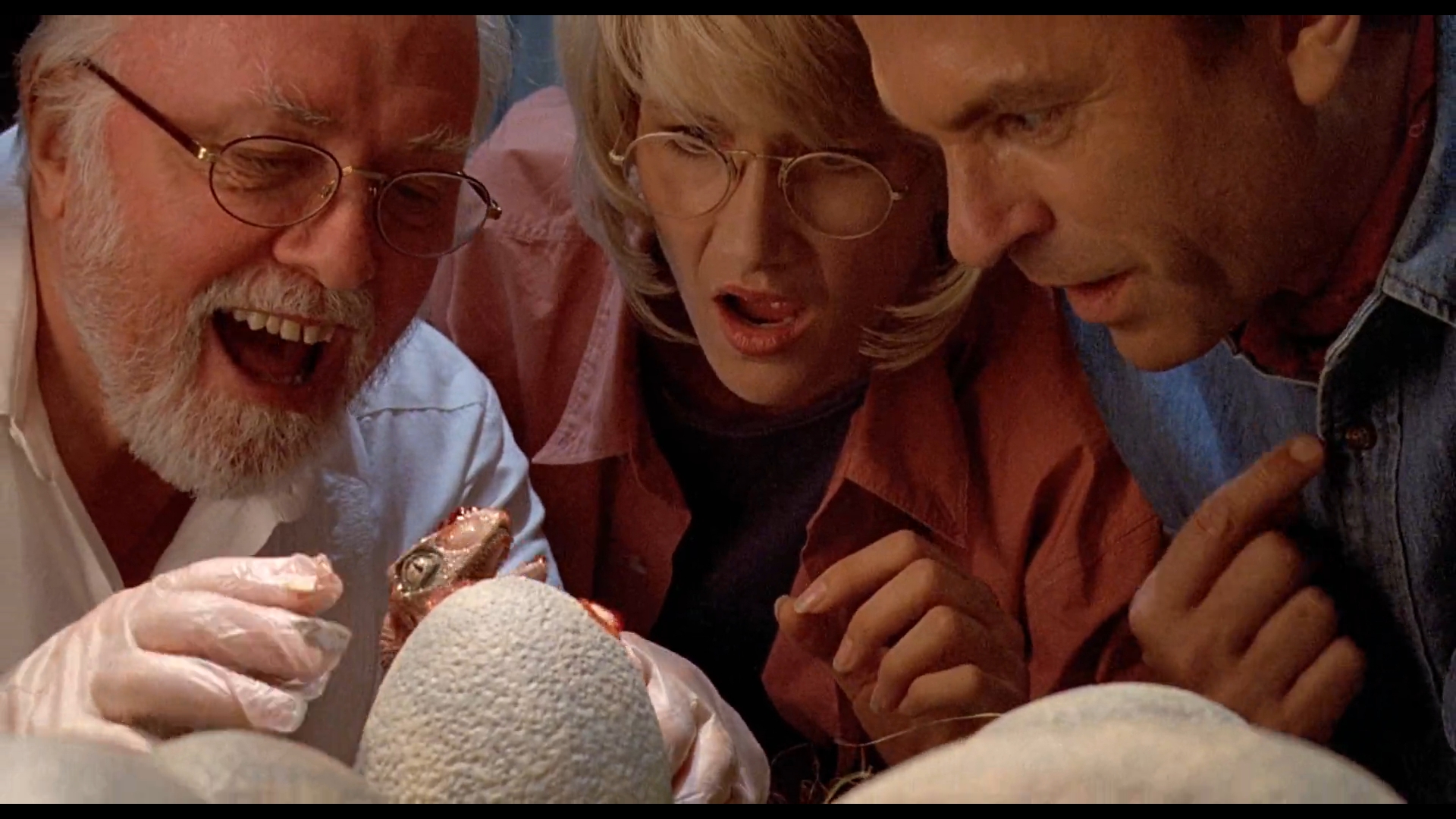 Jurassic Park: Baby Dinosaur Hatching HD Wallpaper