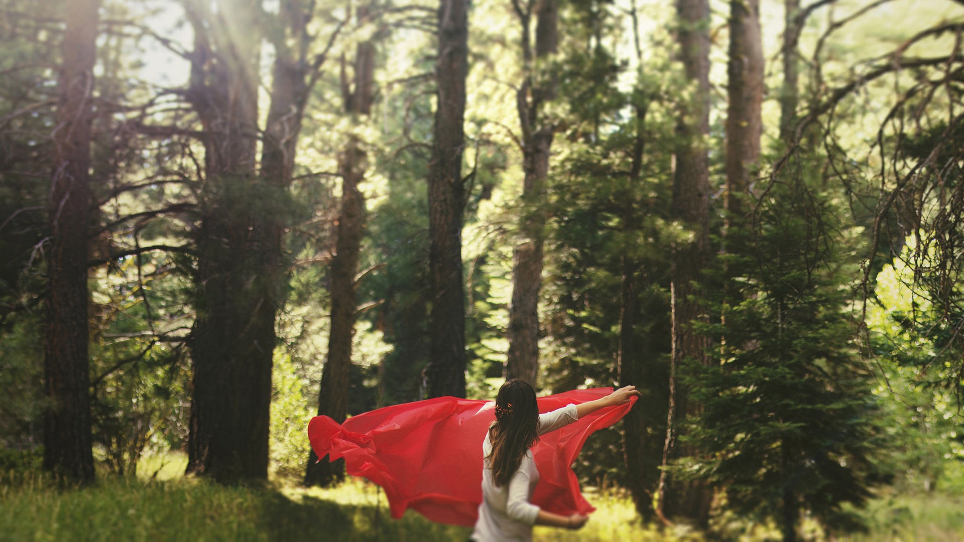 Woman with red fabric in a forest HD Wallpaper