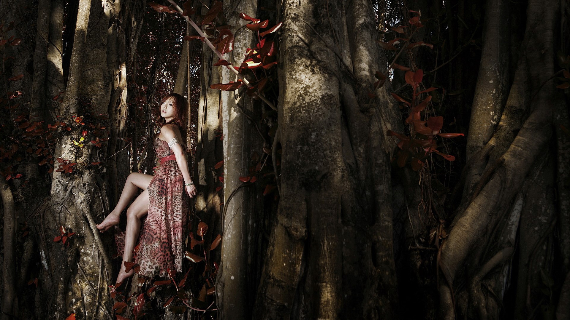 Woman in dress sitting on a tree HD Wallpaper