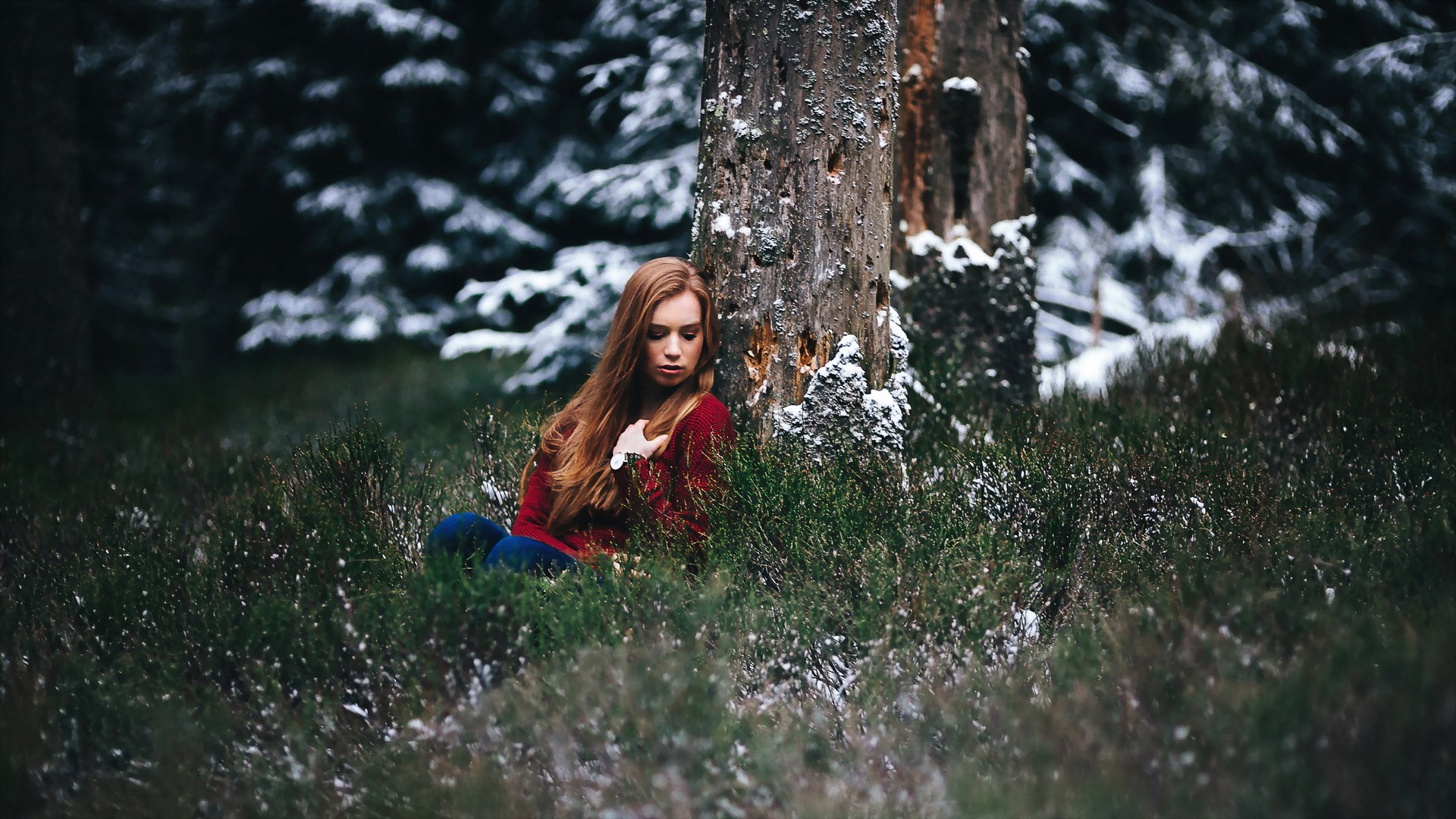 Woman in red sweater sitting by a tree in winter forest HD Wallpaper