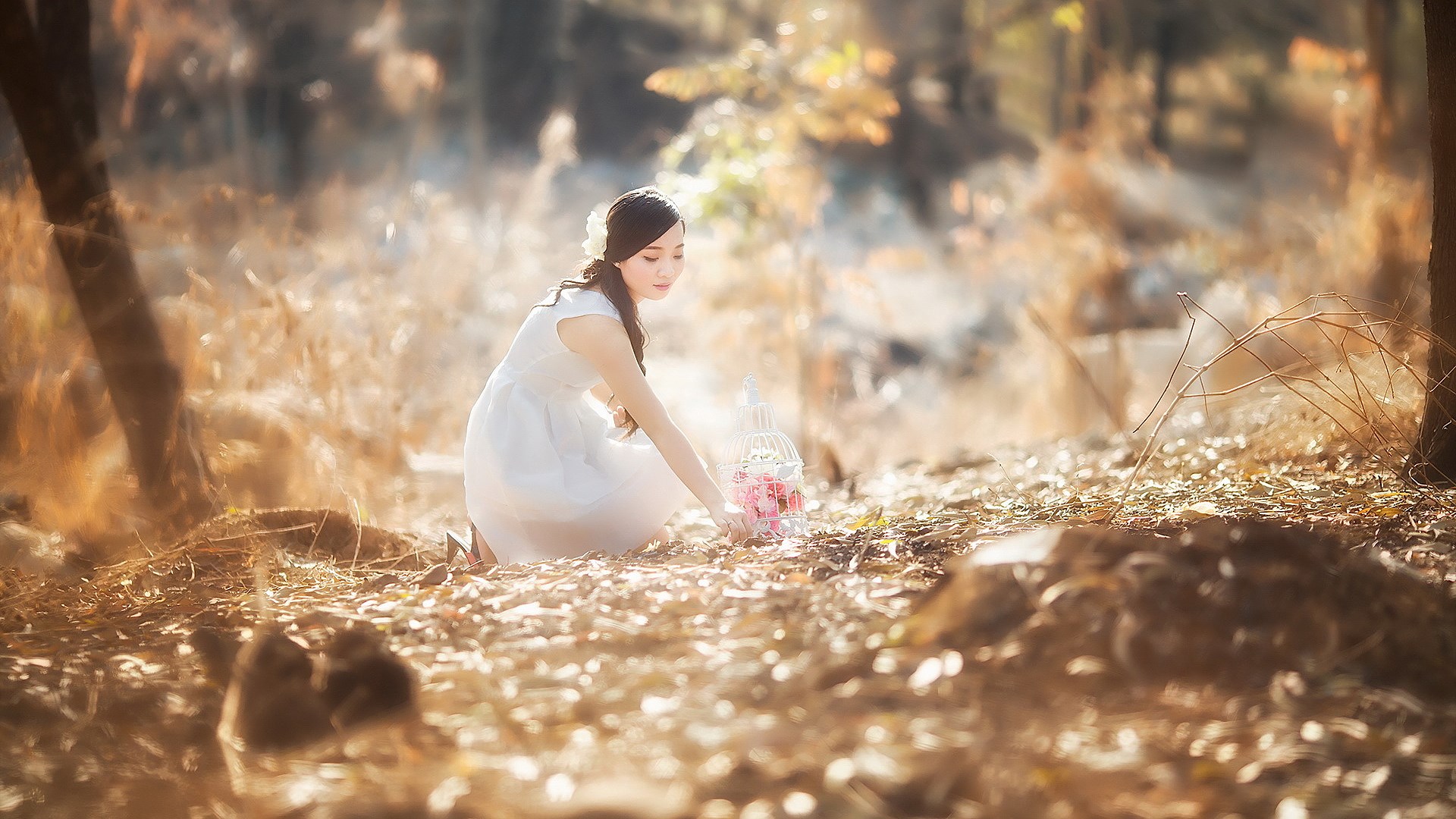 Woman in white dress with flowers in a cage HD Wallpaper