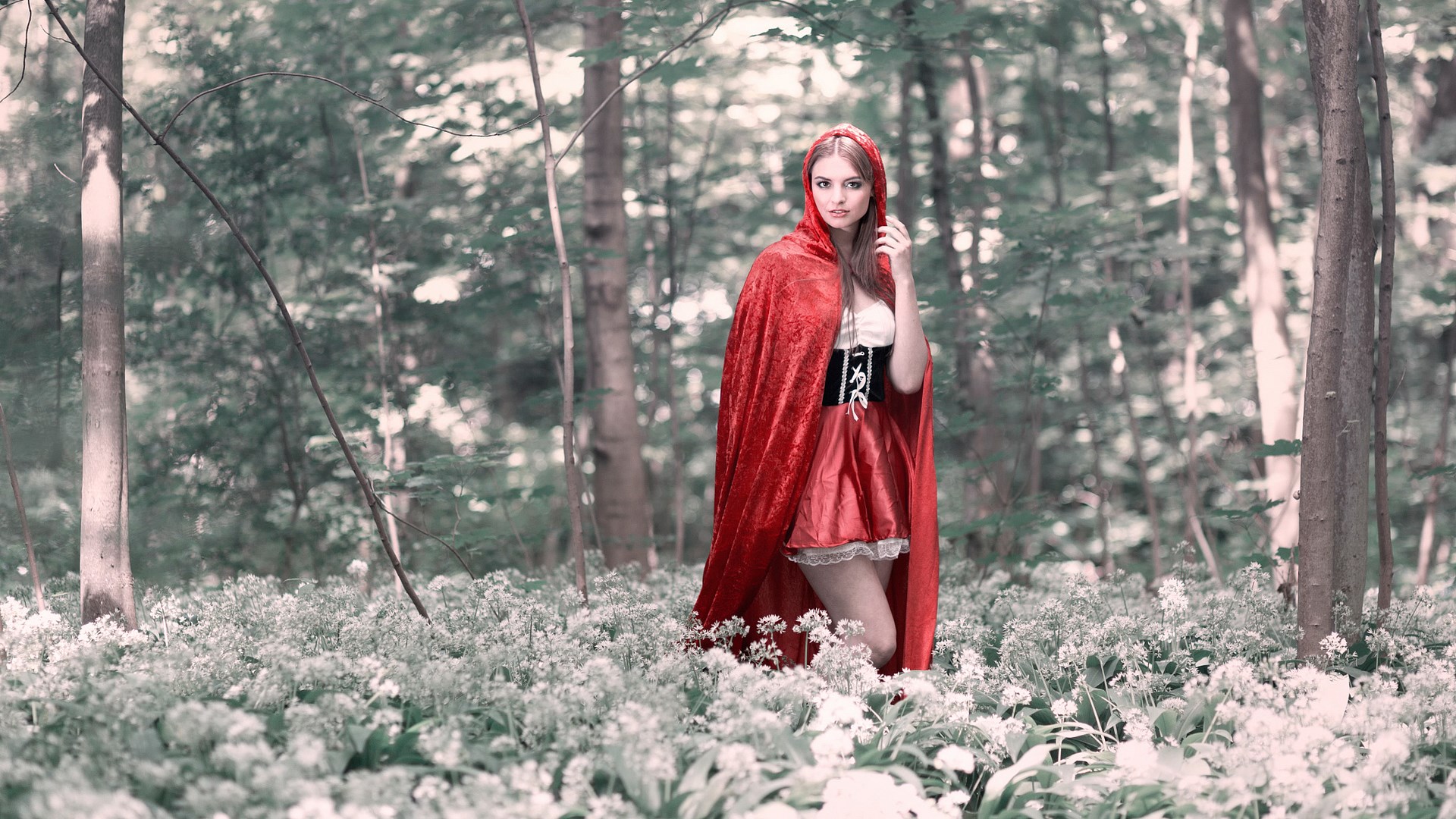 Woman in red cloak in a forest HD Wallpaper