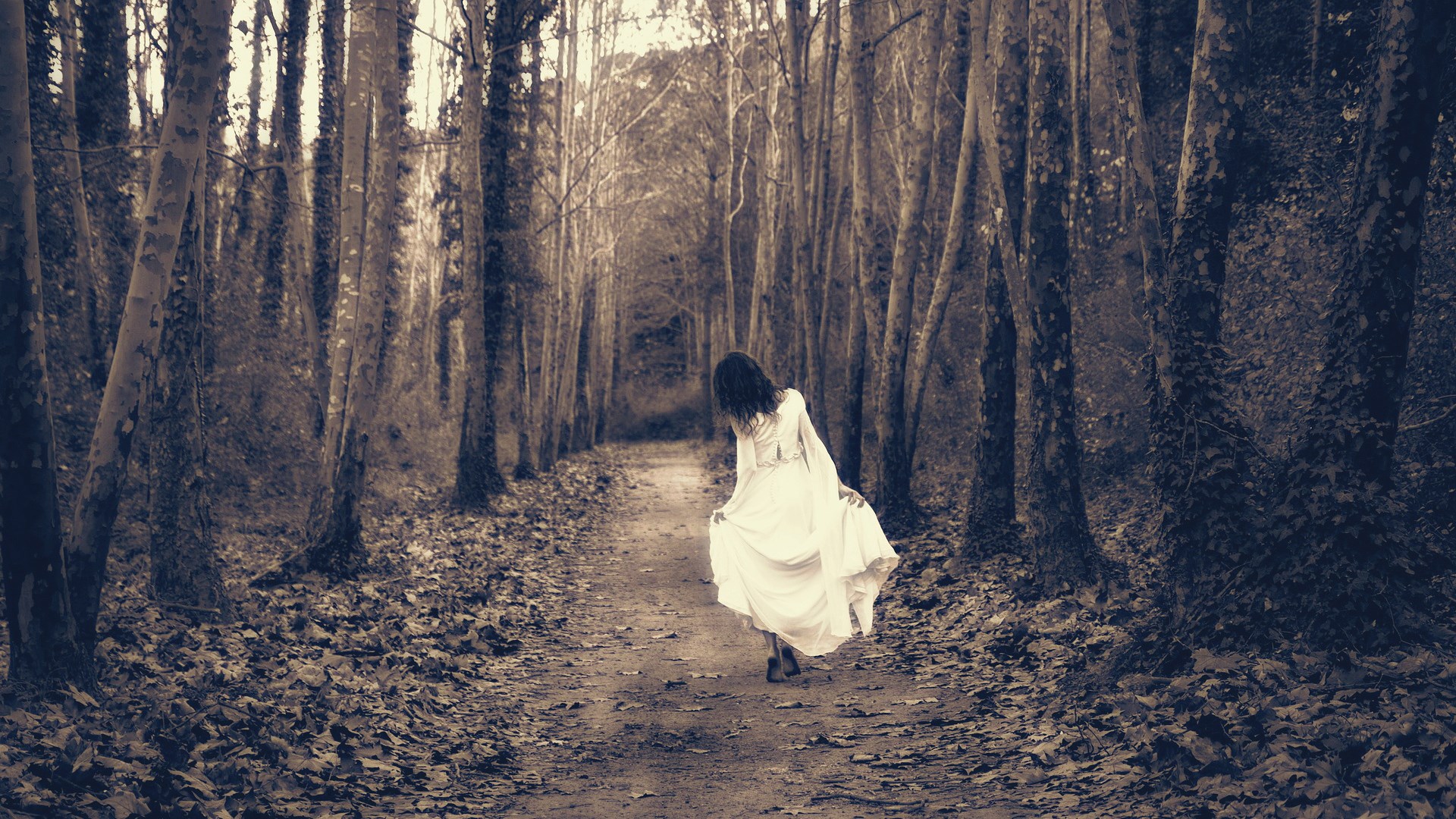 Woman in white dress walking in a forest HD Wallpaper