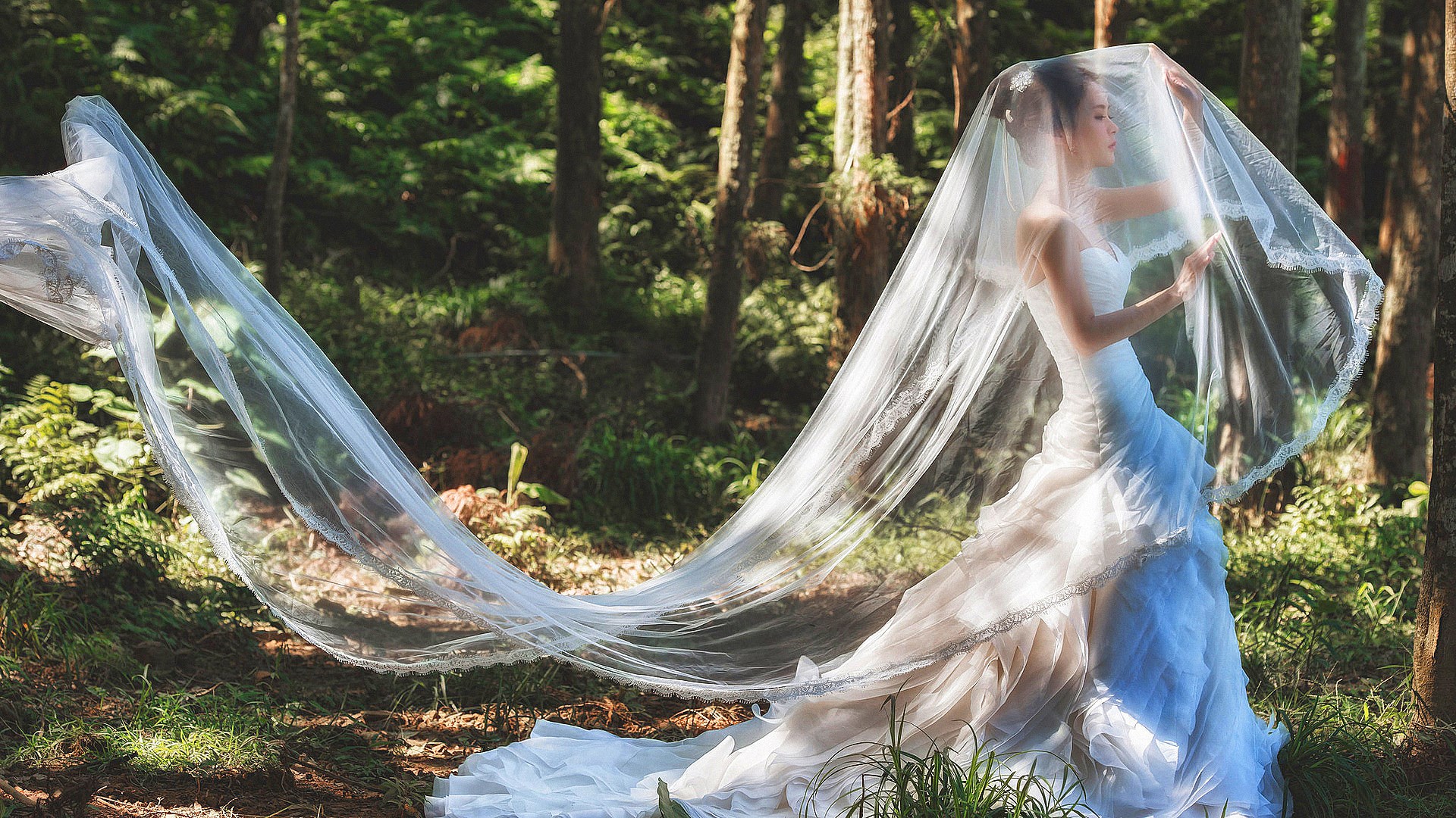 Bride in a wedding dress with veil in forest HD Wallpaper