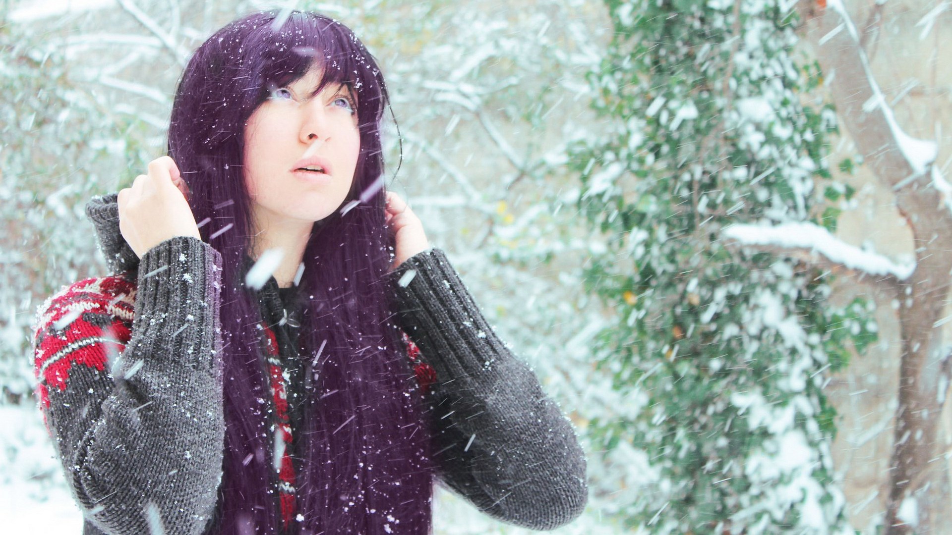 Woman with purple hair in the snow HD Wallpaper