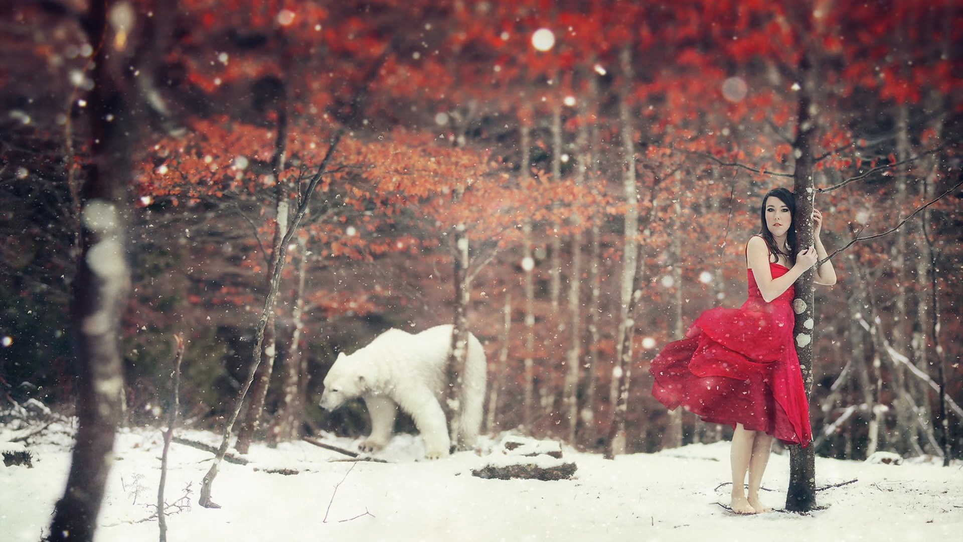 Woman in red dress with polar bear in snowy forest HD Wallpaper