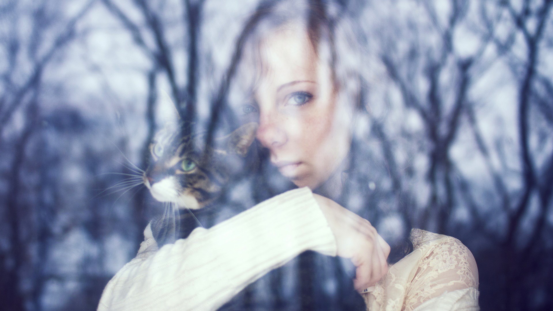 Woman and cat reflected in window with trees HD Wallpaper