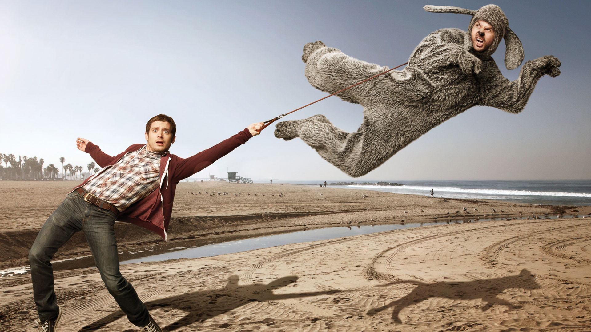 Wilfred from Wilfred HD Wallpaper
