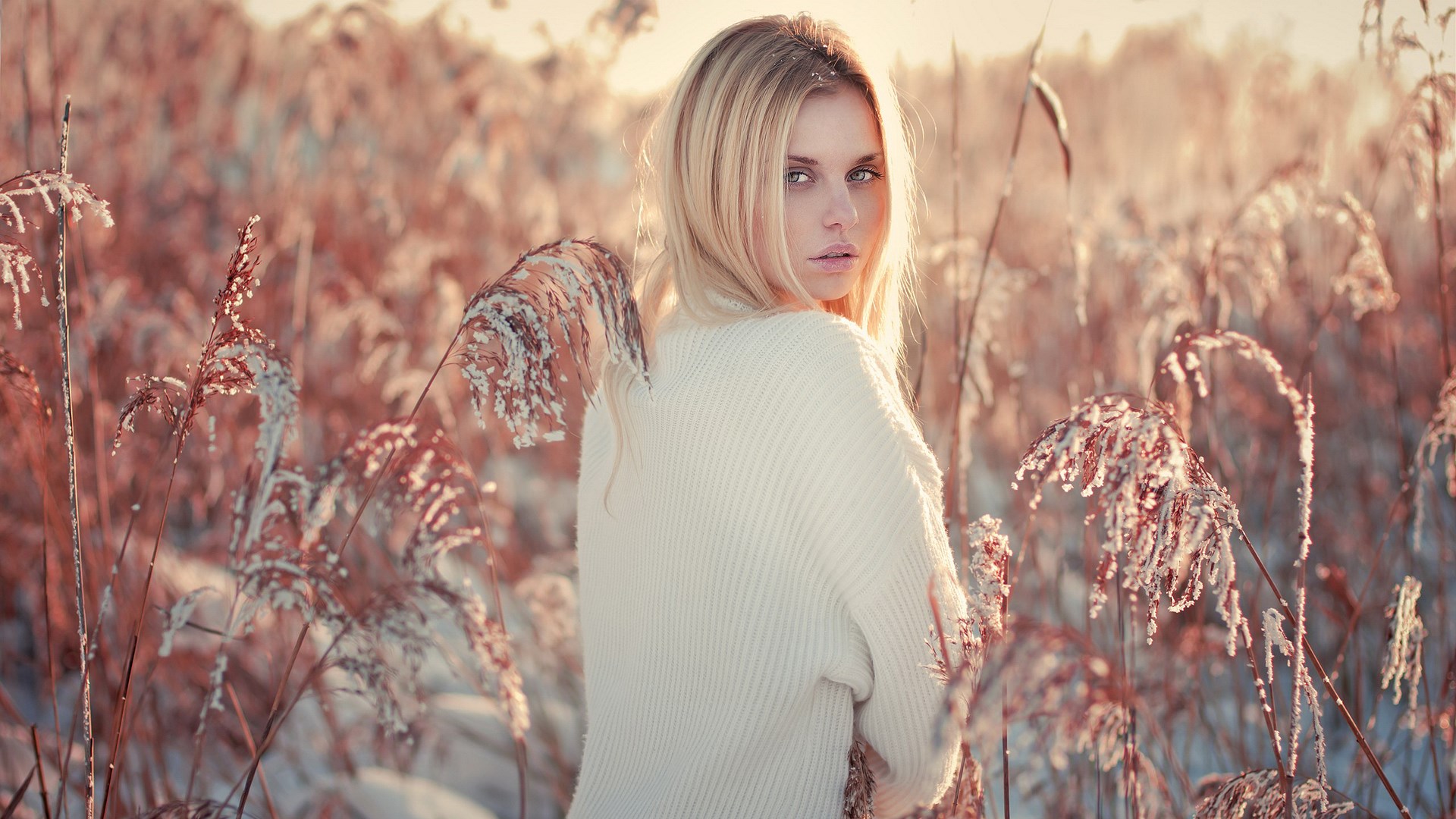 Woman in a white sweater in a snowy field HD Wallpaper