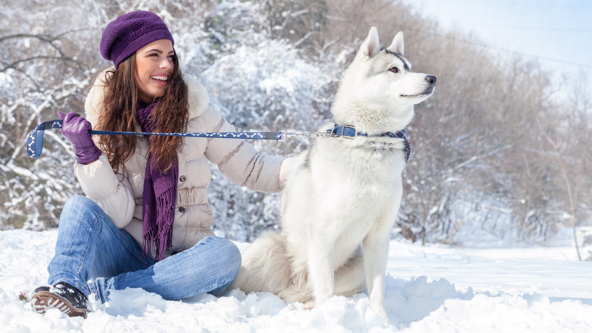 Woman in winter clothes with husky dog in snow HD Wallpaper