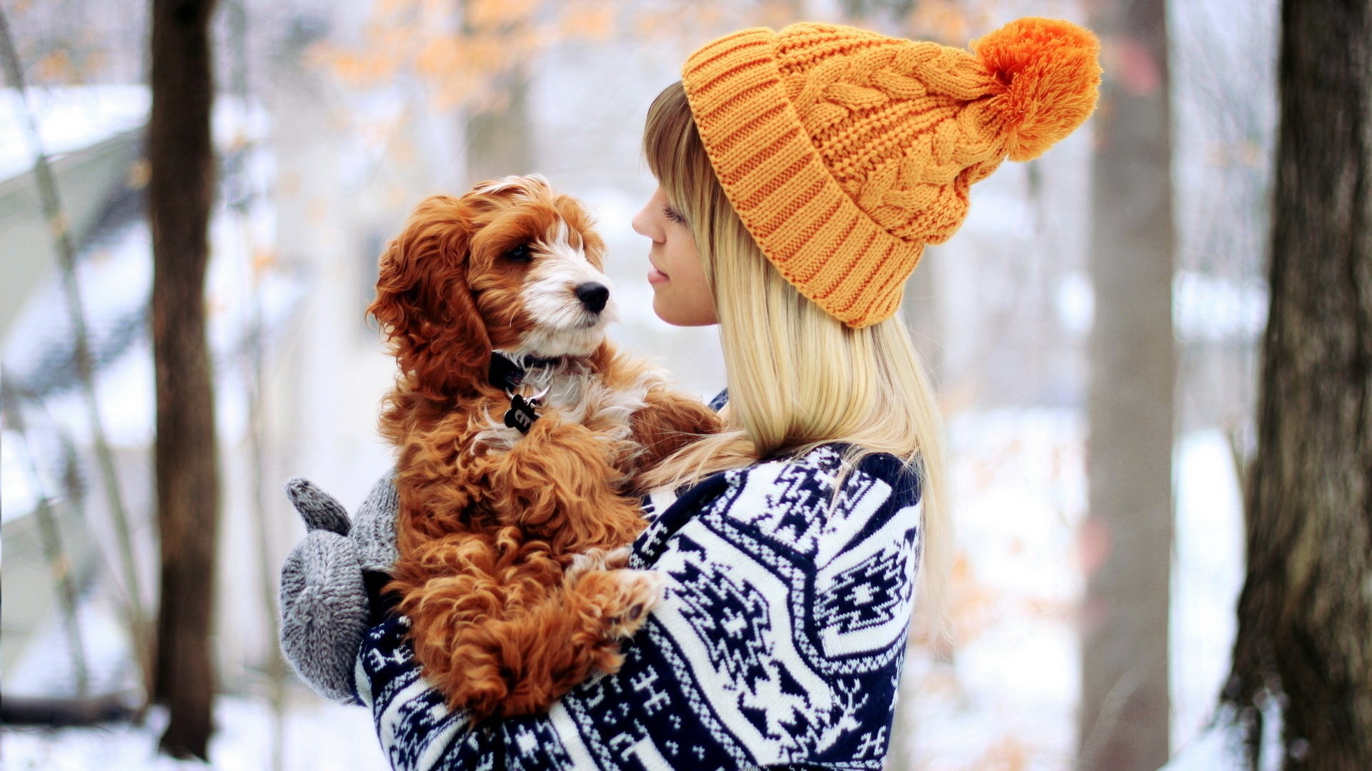 Woman holding a dog in the snow HD Wallpaper