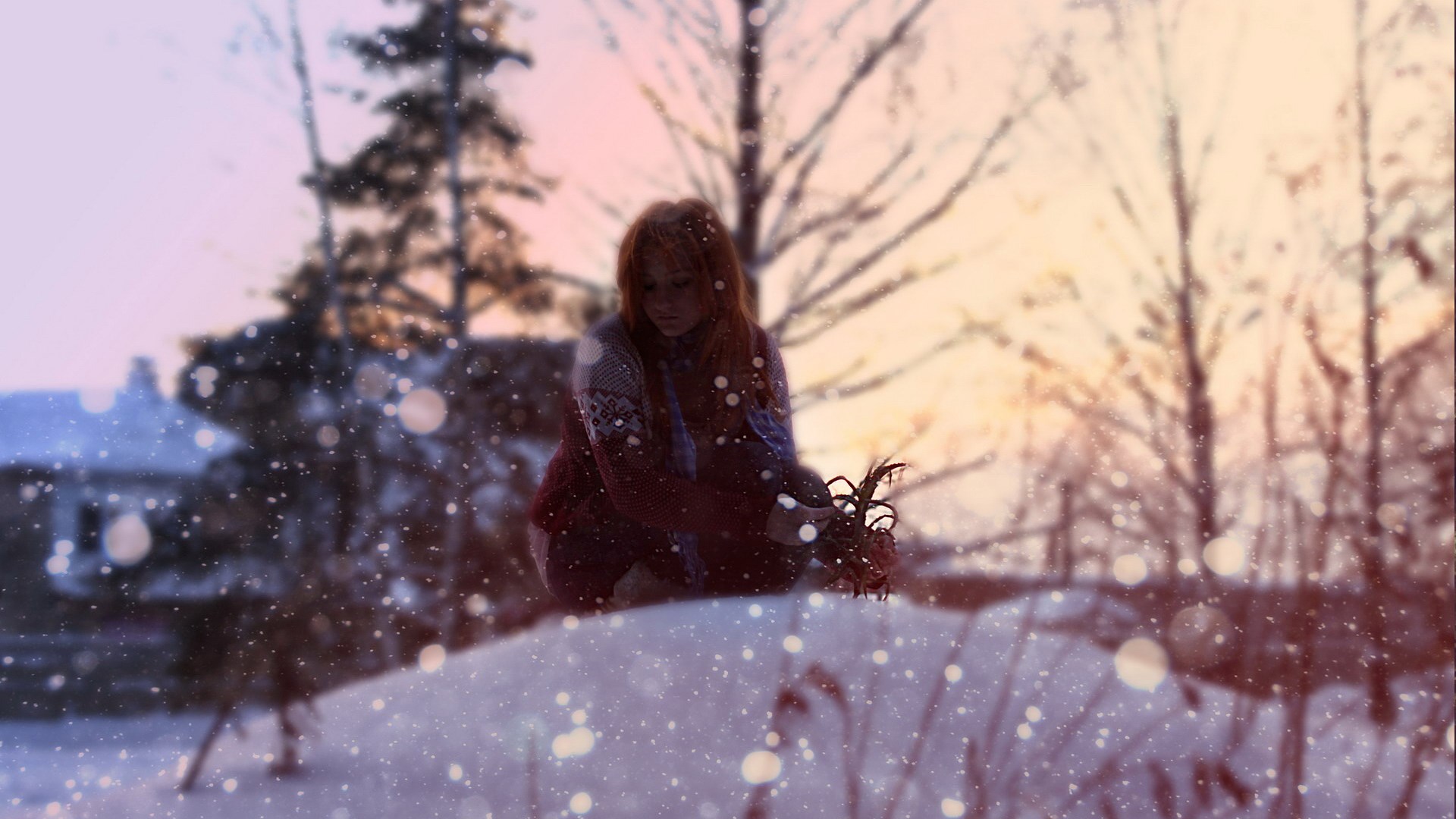 Girl in snow holding flowers HD Wallpaper