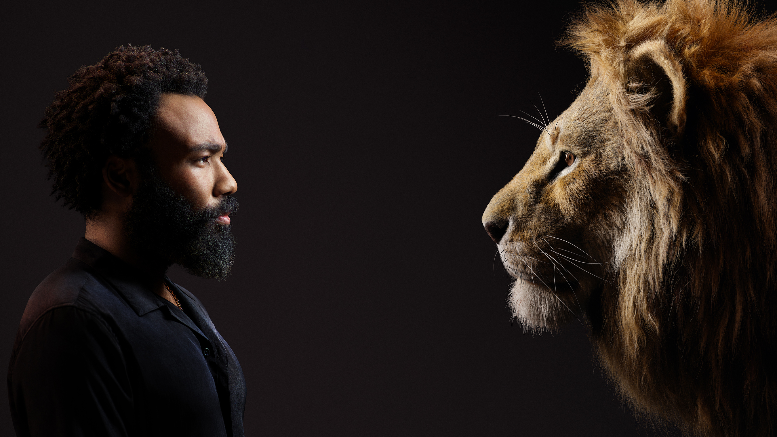 Donald Glover and a lion HD Wallpaper