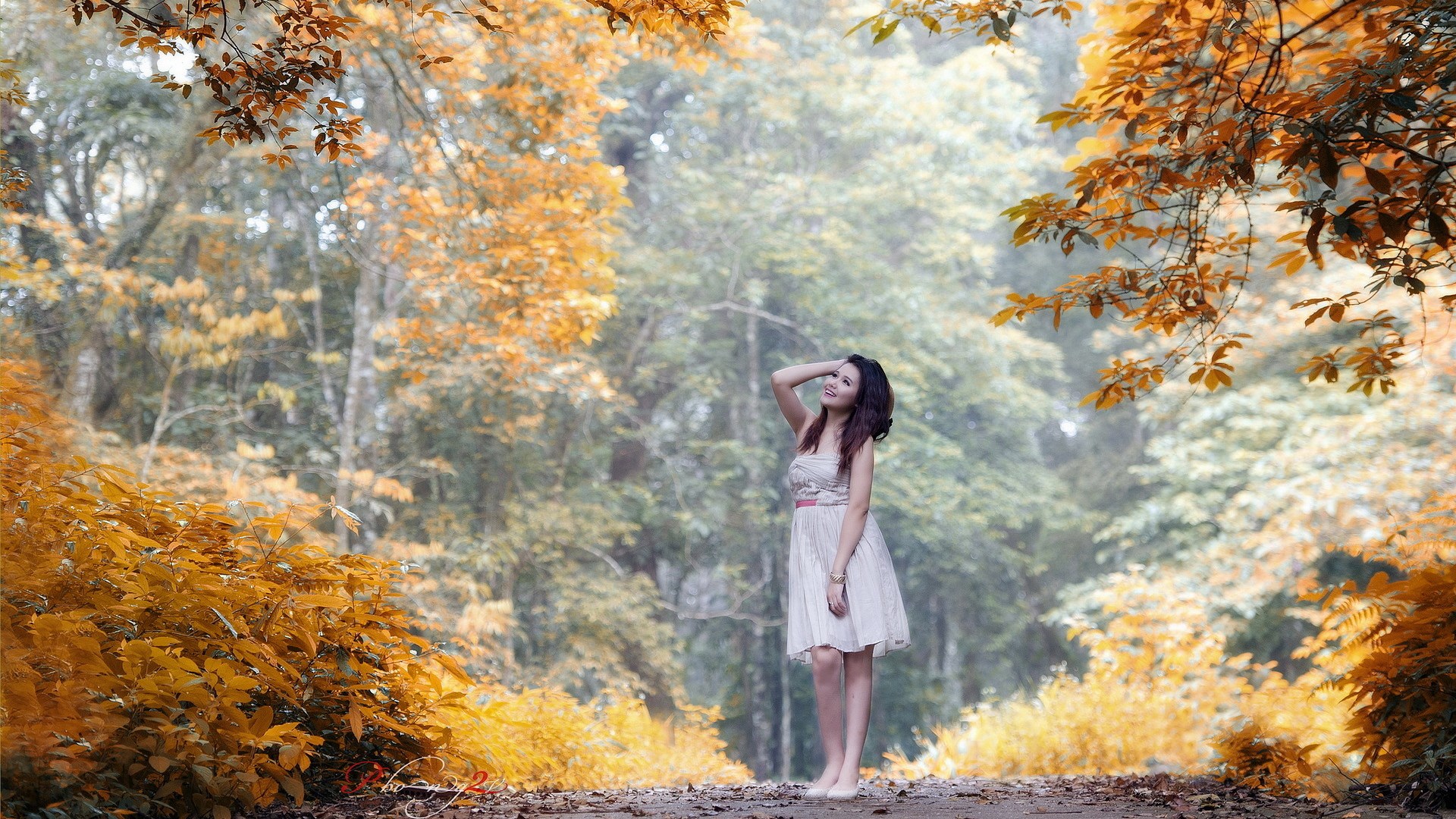 Woman in a white dress in an autumn forest HD Wallpaper