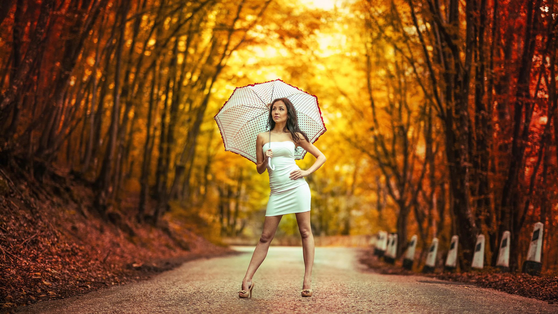 Woman with umbrella on a road in autumn forest HD Wallpaper