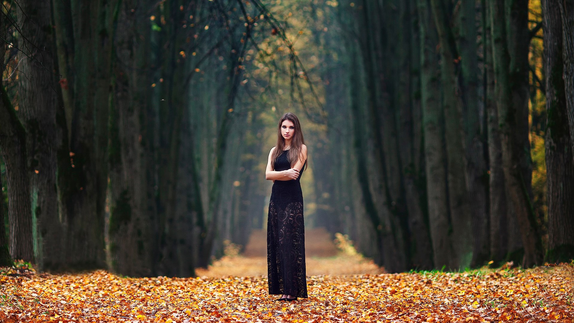 Woman in black dress in autumn forest HD Wallpaper