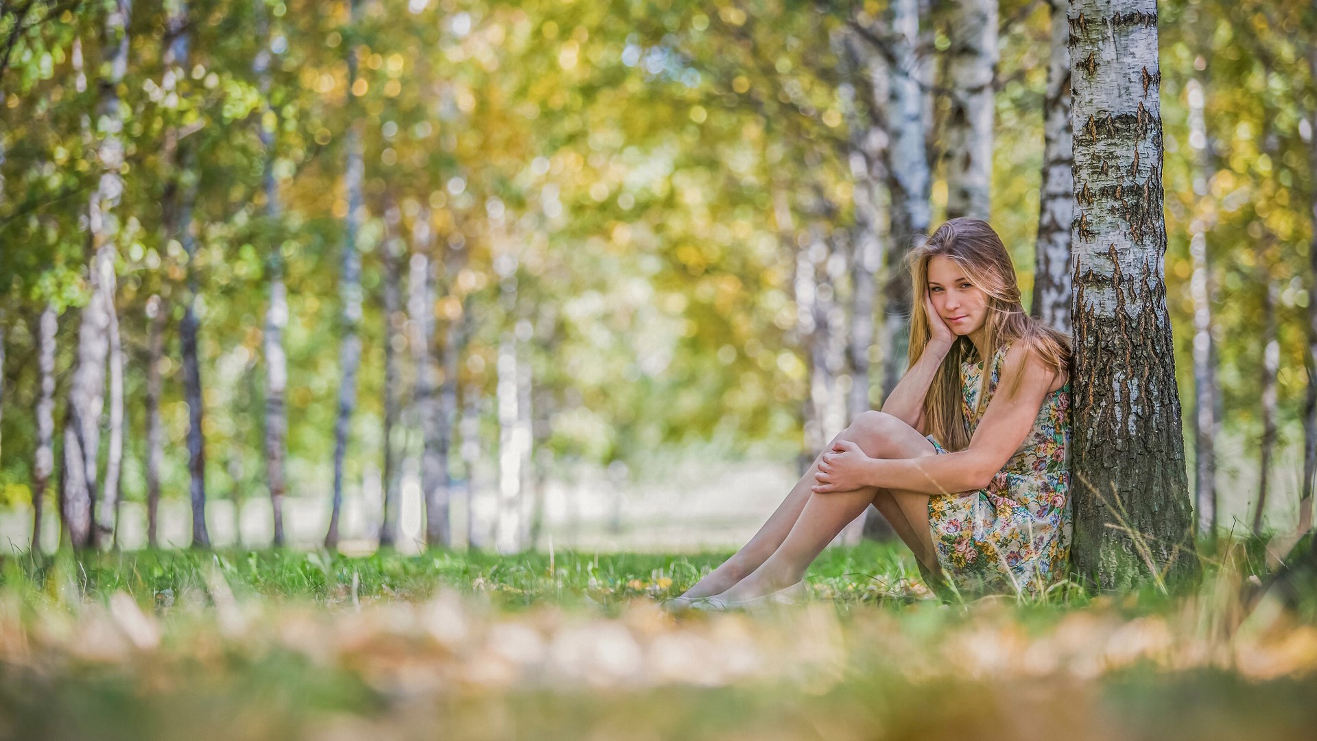 Girl sitting by a birch tree in a forest HD Wallpaper
