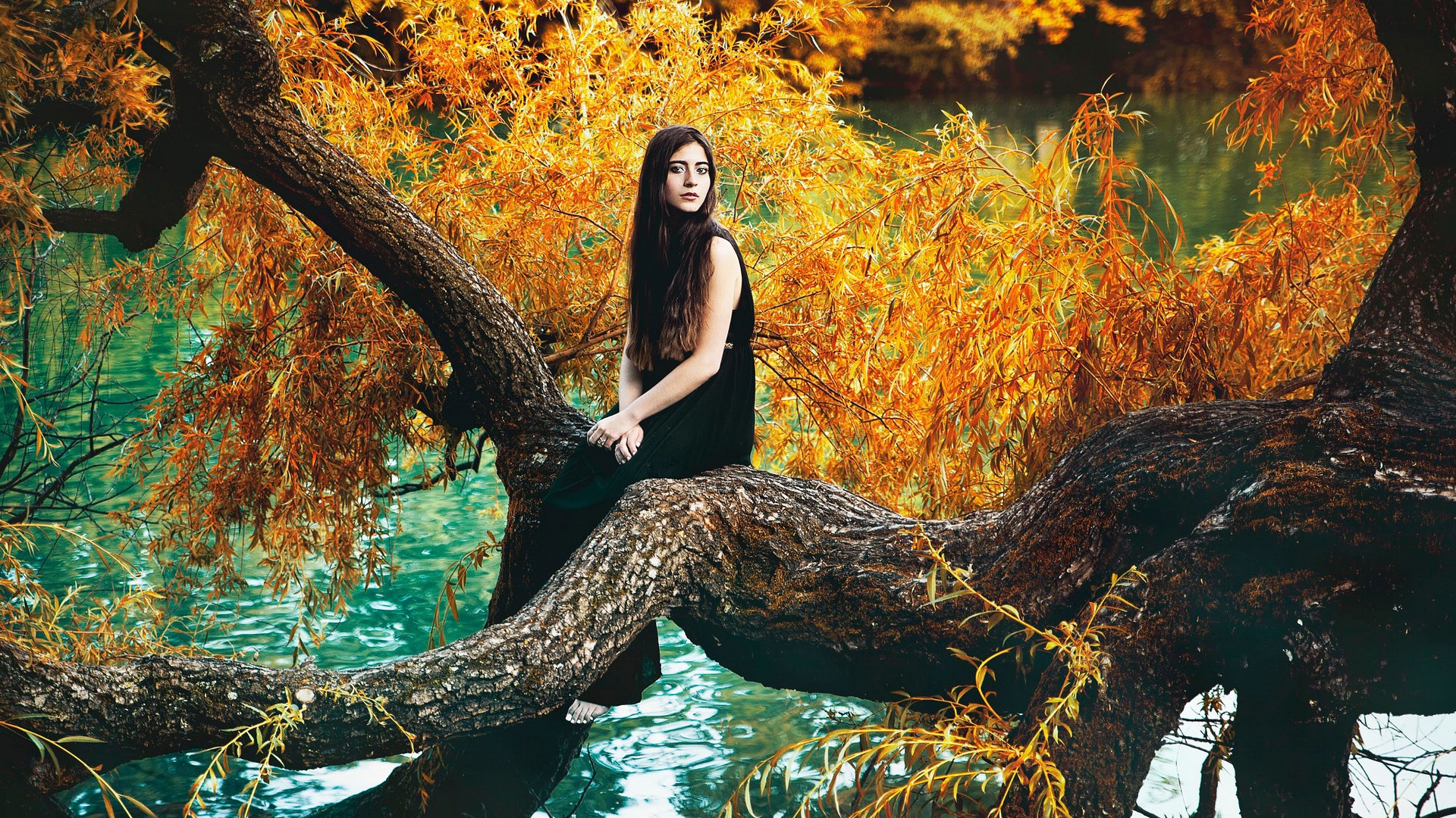 Woman sitting on a tree branch over water HD Wallpaper