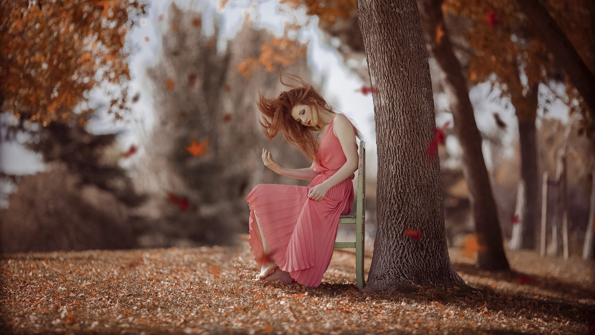 Woman in pink dress sitting by a tree in autumn HD Wallpaper