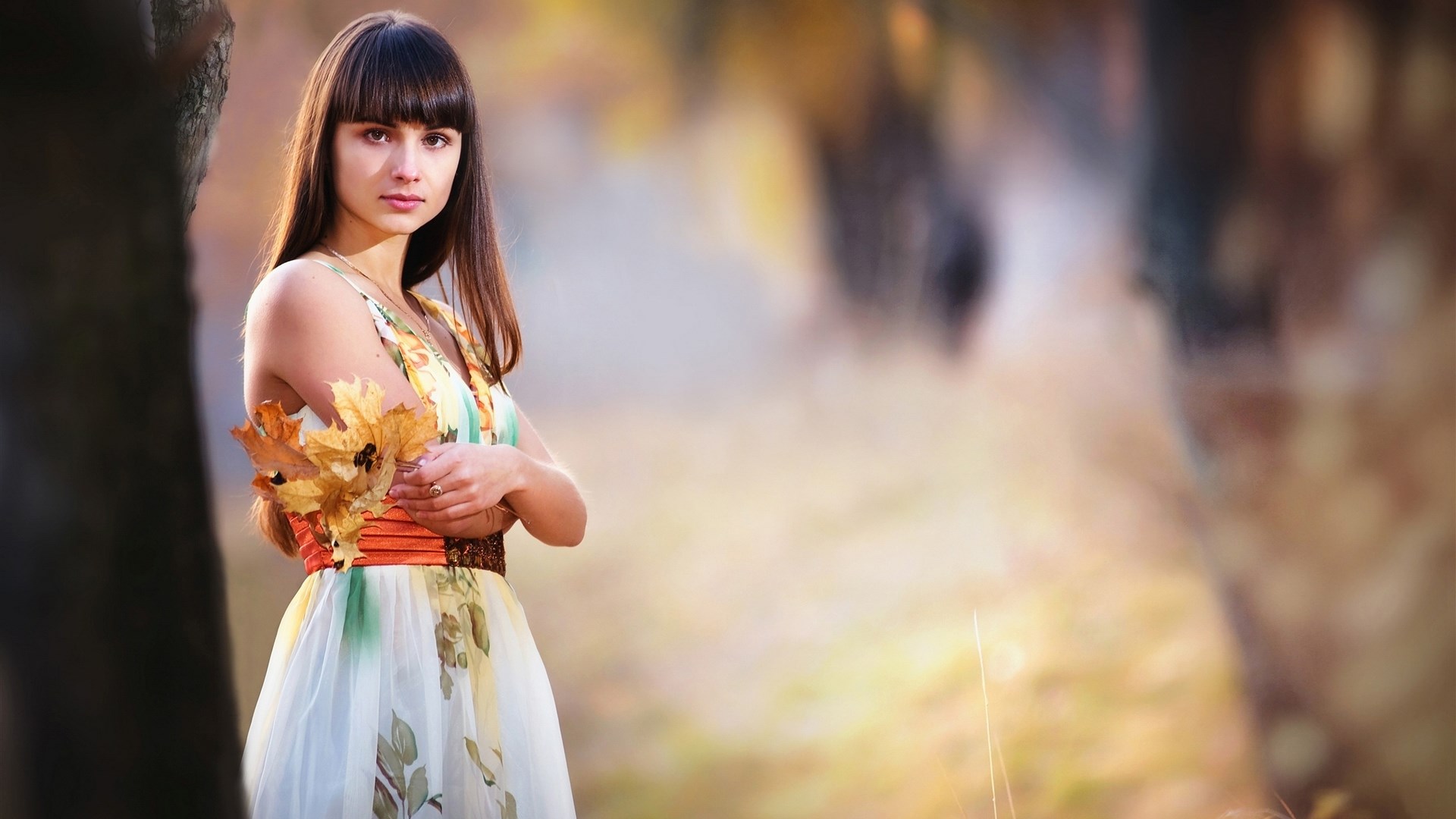 Woman holding autumn leaves in a park HD Wallpaper