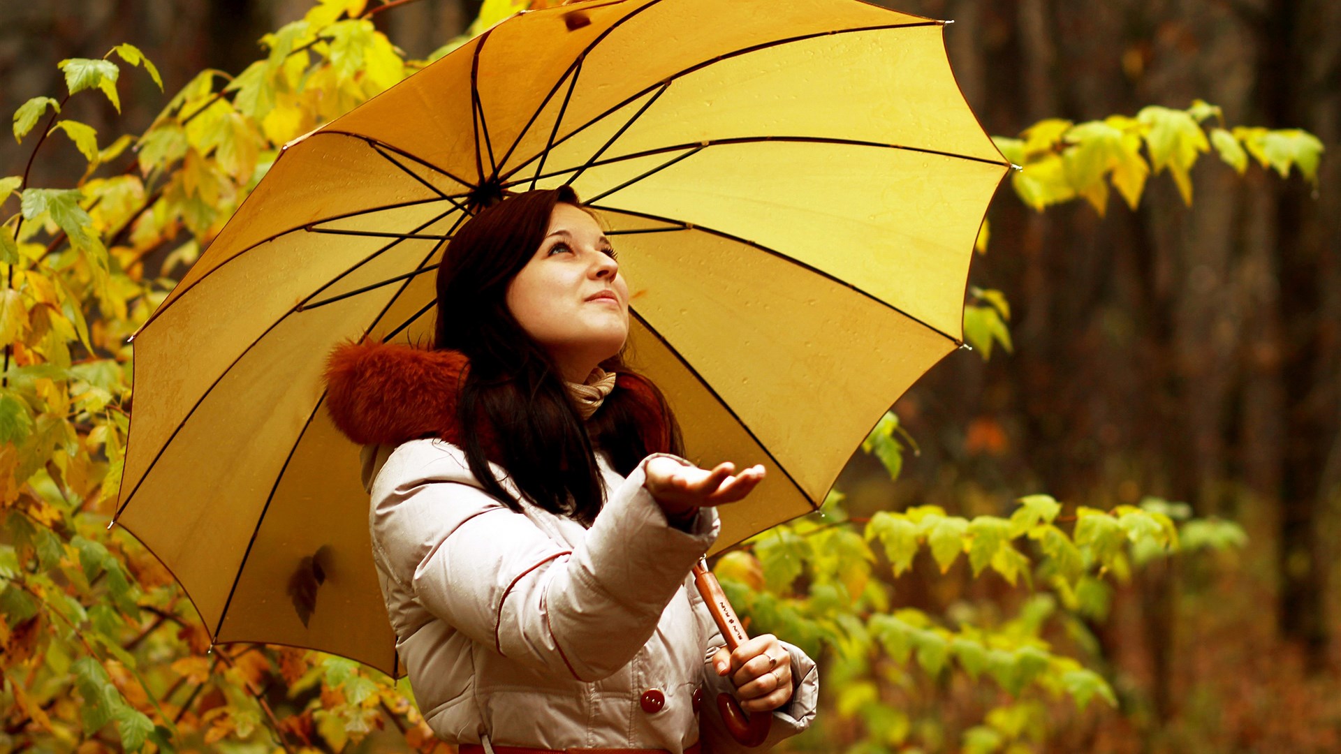 Woman with yellow umbrella in autumn rain HD Wallpaper
