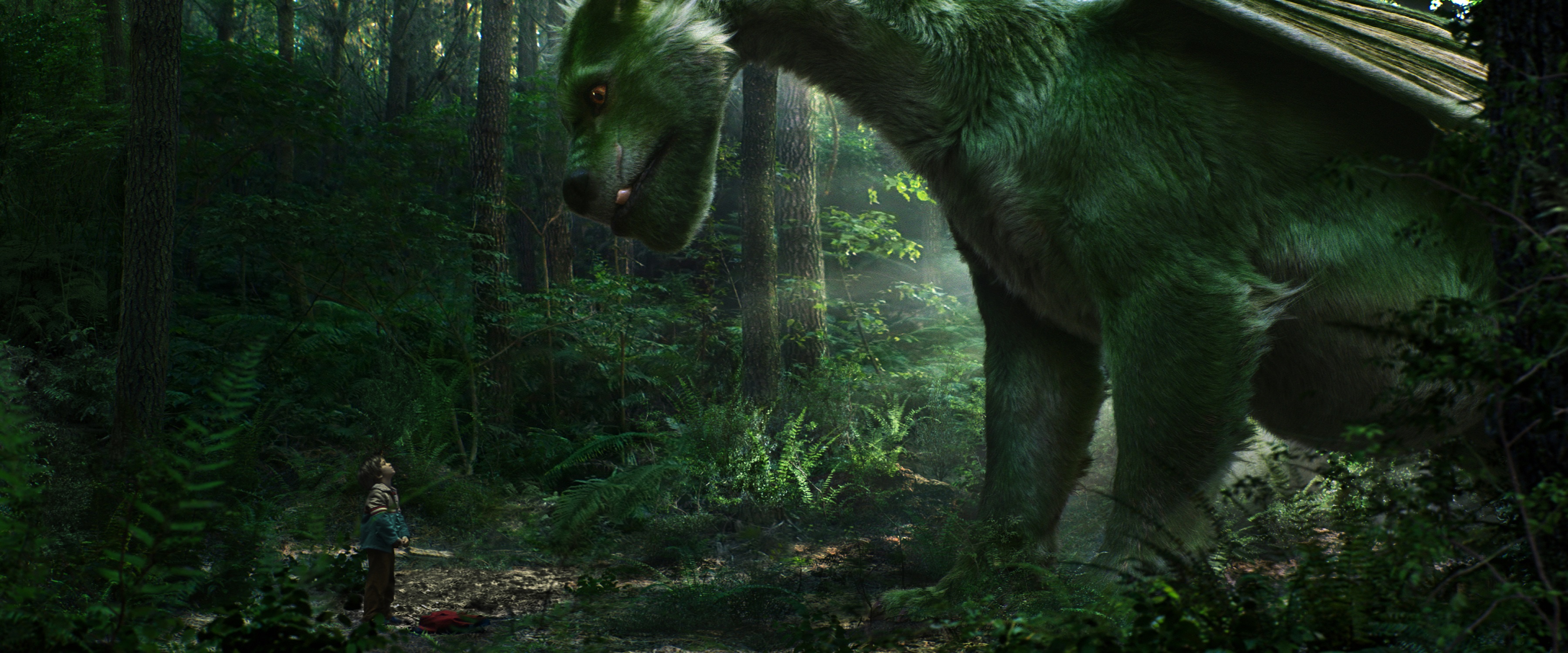 A young boy and a green dragon in a forest HD Wallpaper
