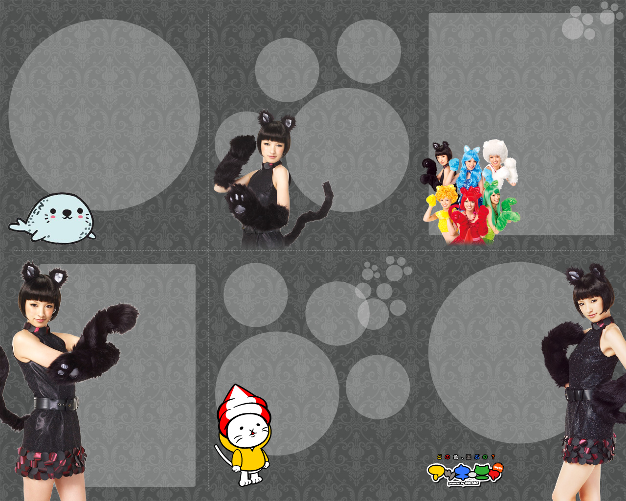 Akina Minami in cat costumes with other performers HD Wallpaper