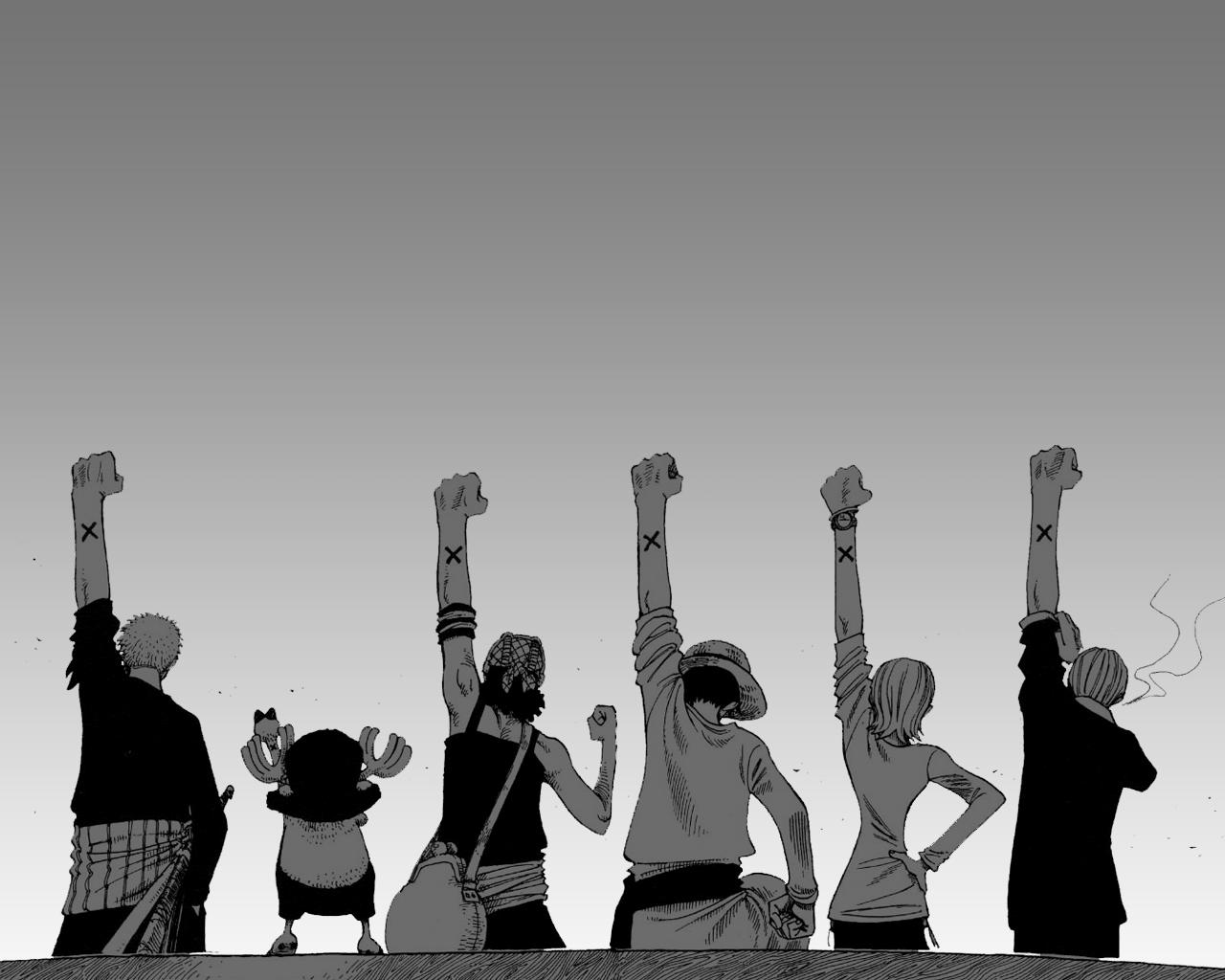 Straw Hat Pirates from One Piece HD Wallpaper