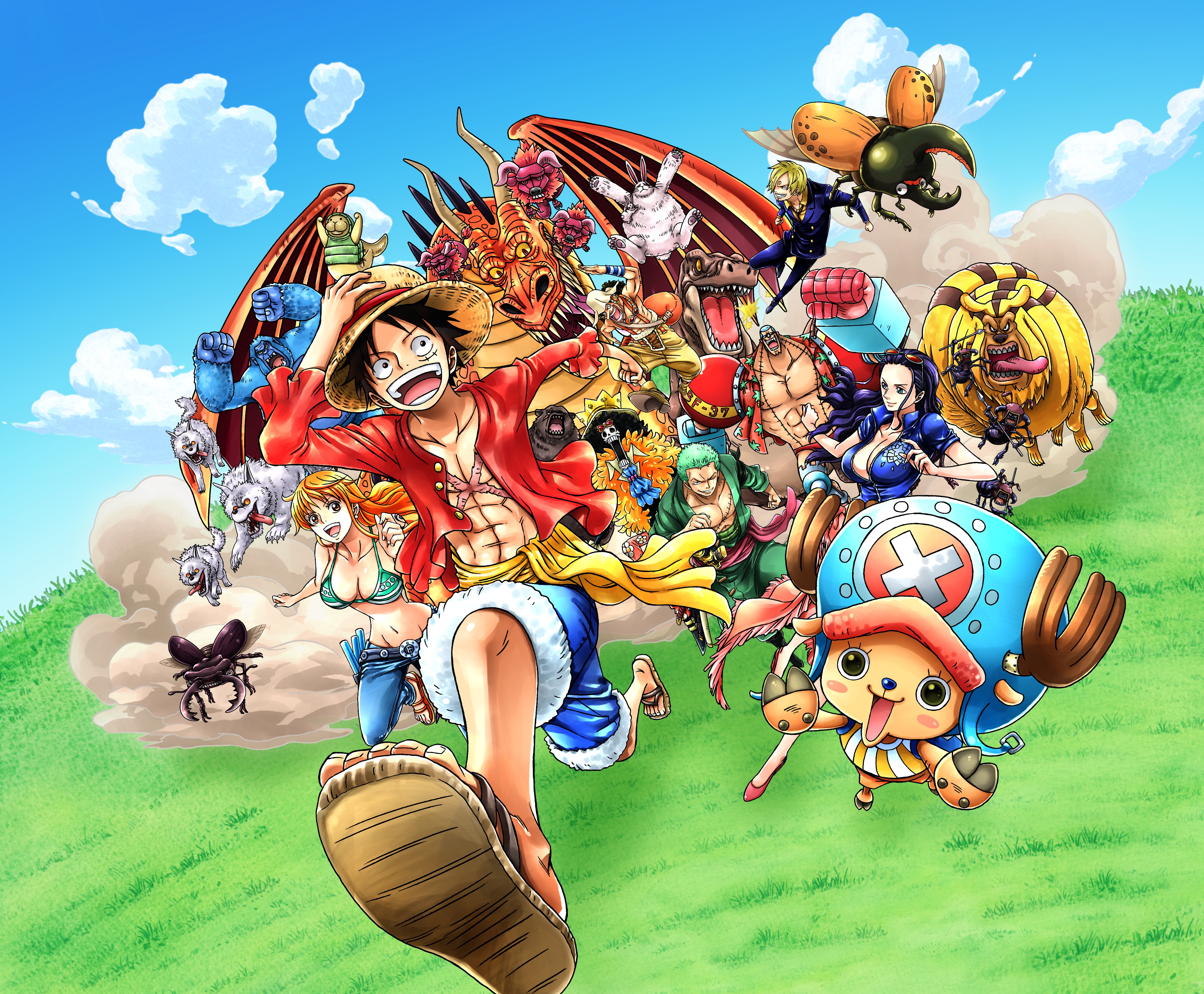 One Piece characters running on a grassy field HD Wallpaper