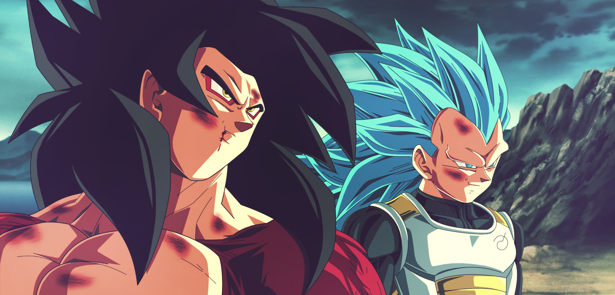 Goku and Vegeta from Dragon Ball HD Wallpaper