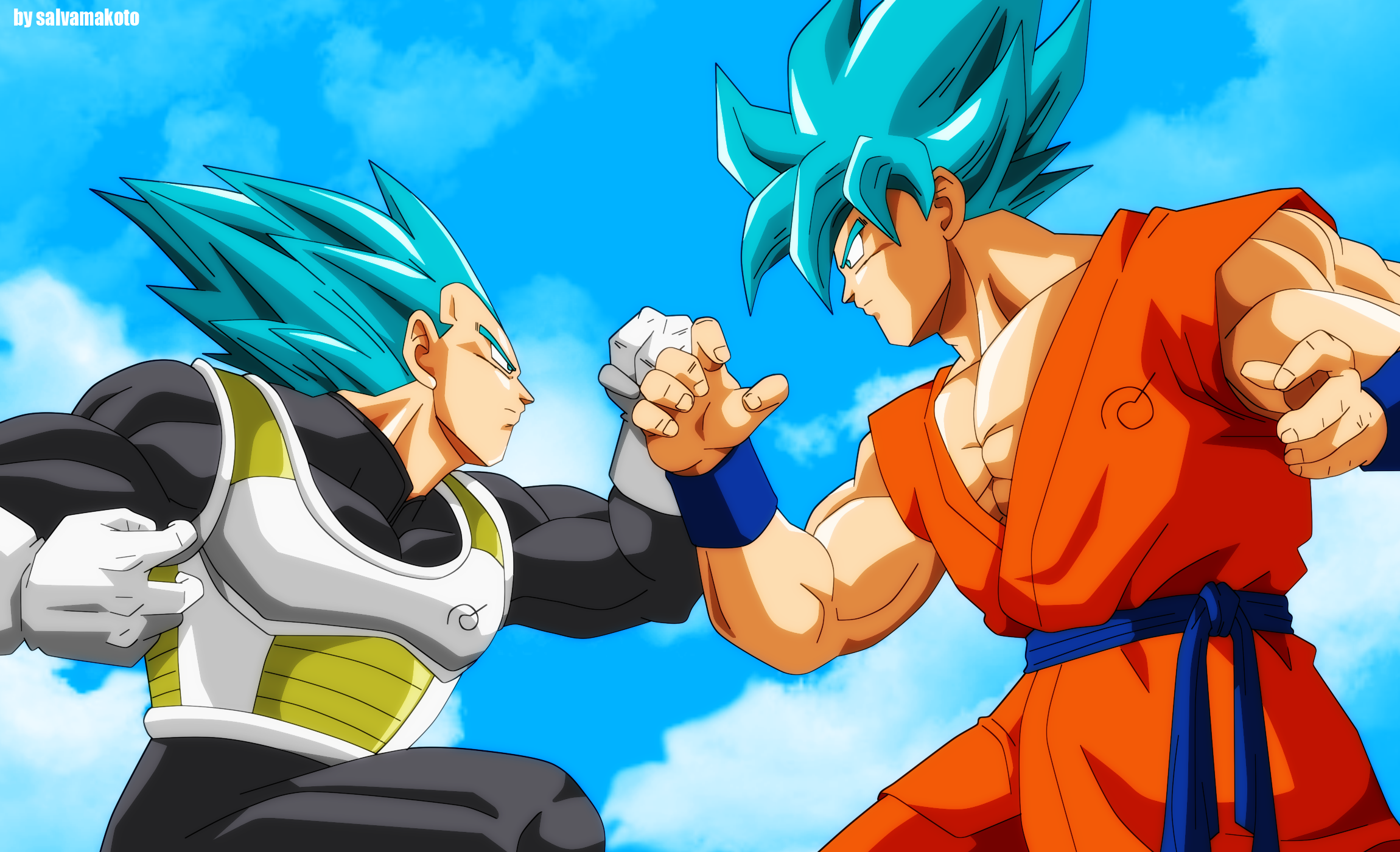 Goku and Vegeta from Dragon Ball Z HD Wallpaper