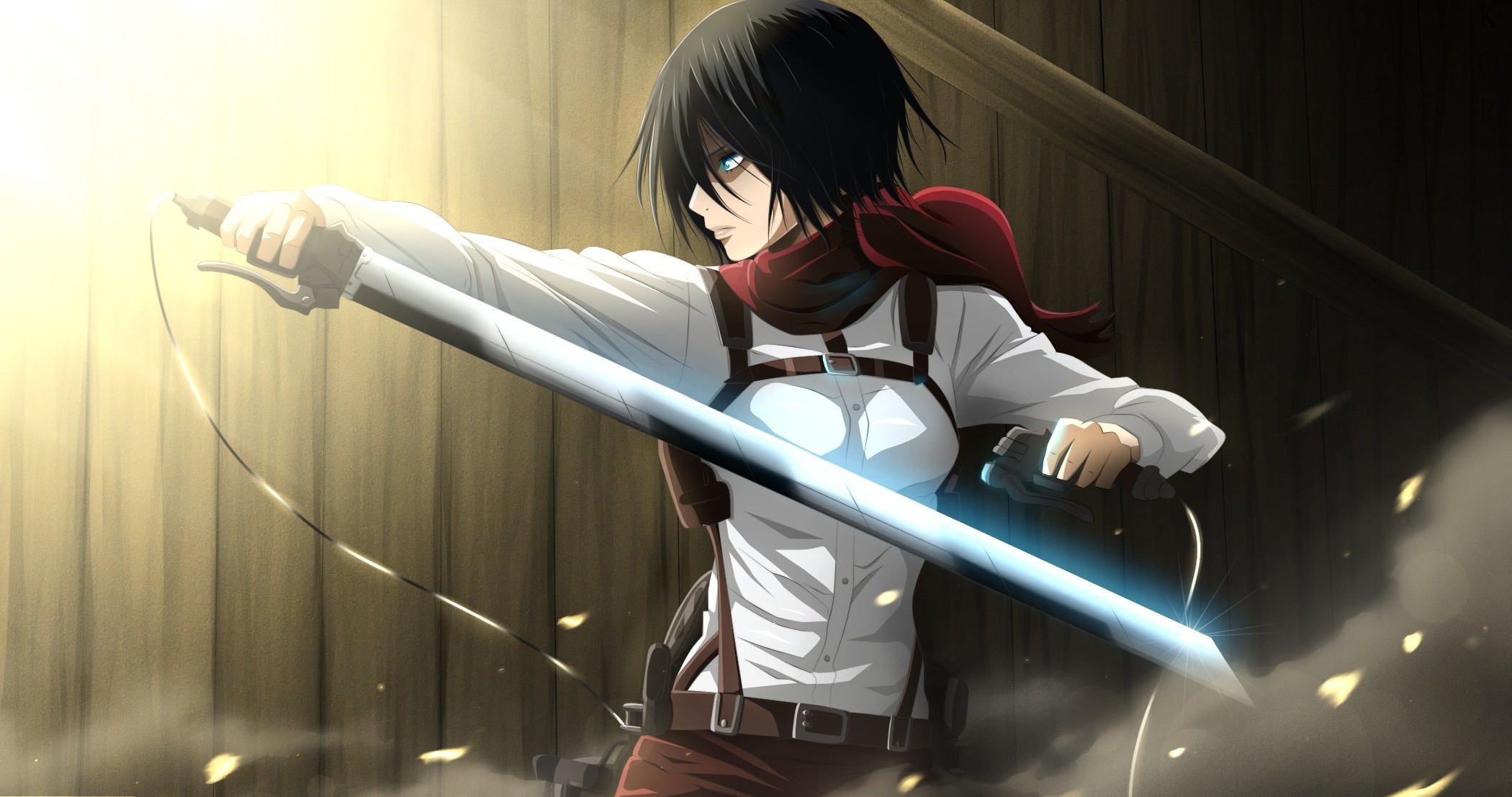 Mikasa Ackerman from Attack on Titan HD Wallpaper
